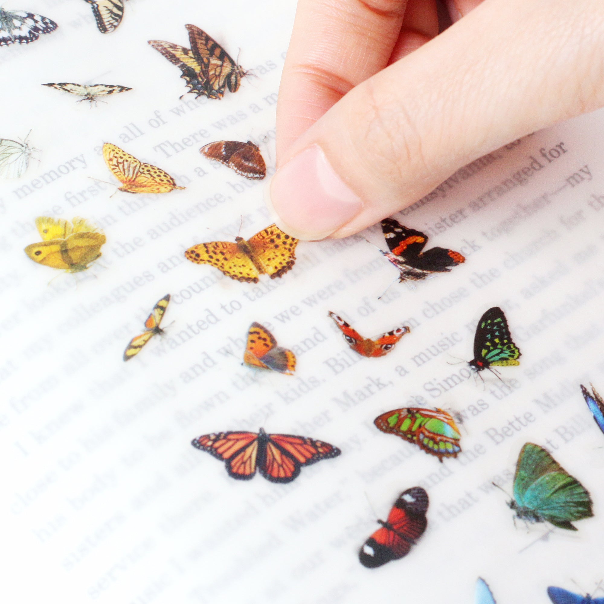 Butterfly Stickers