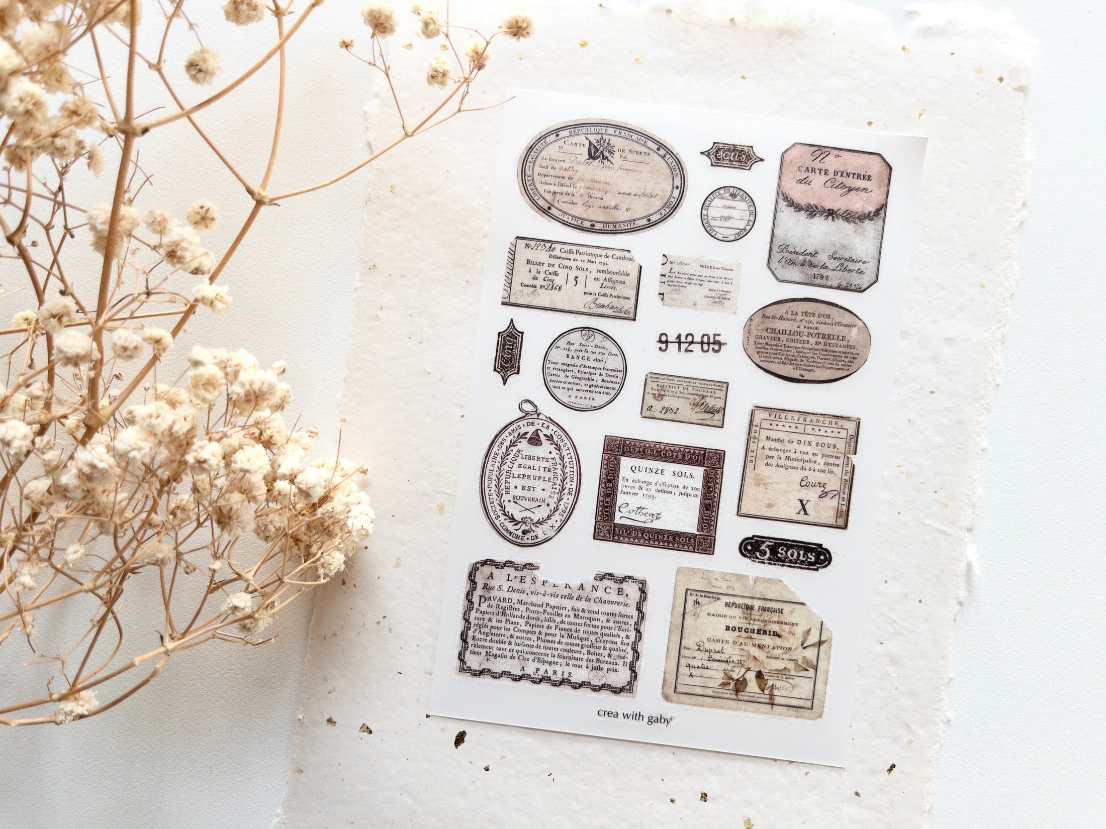 Collection of vintage-style rub-on transfers on a textured surface with dried flowers.
