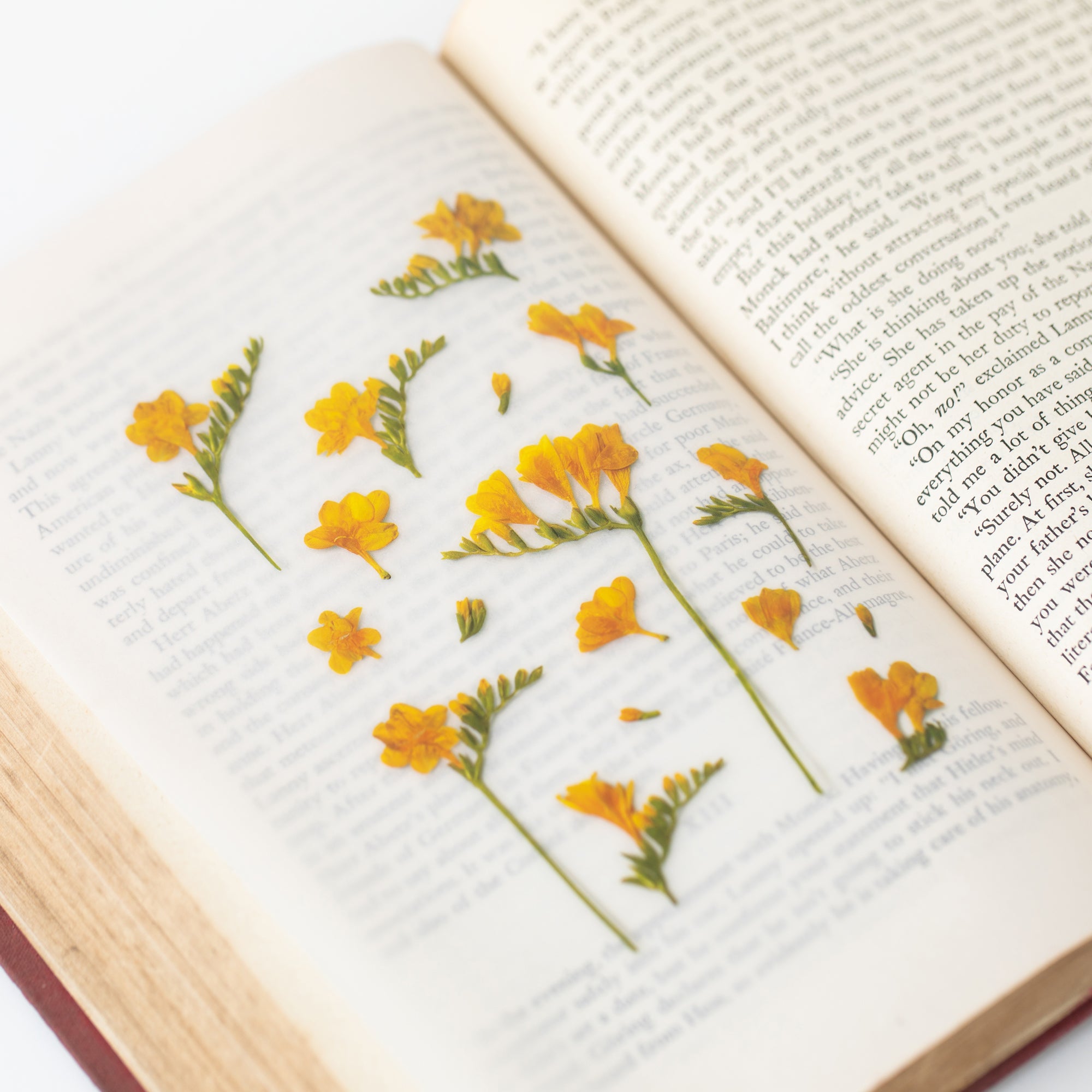 Freesia Pressed Flower Stickers