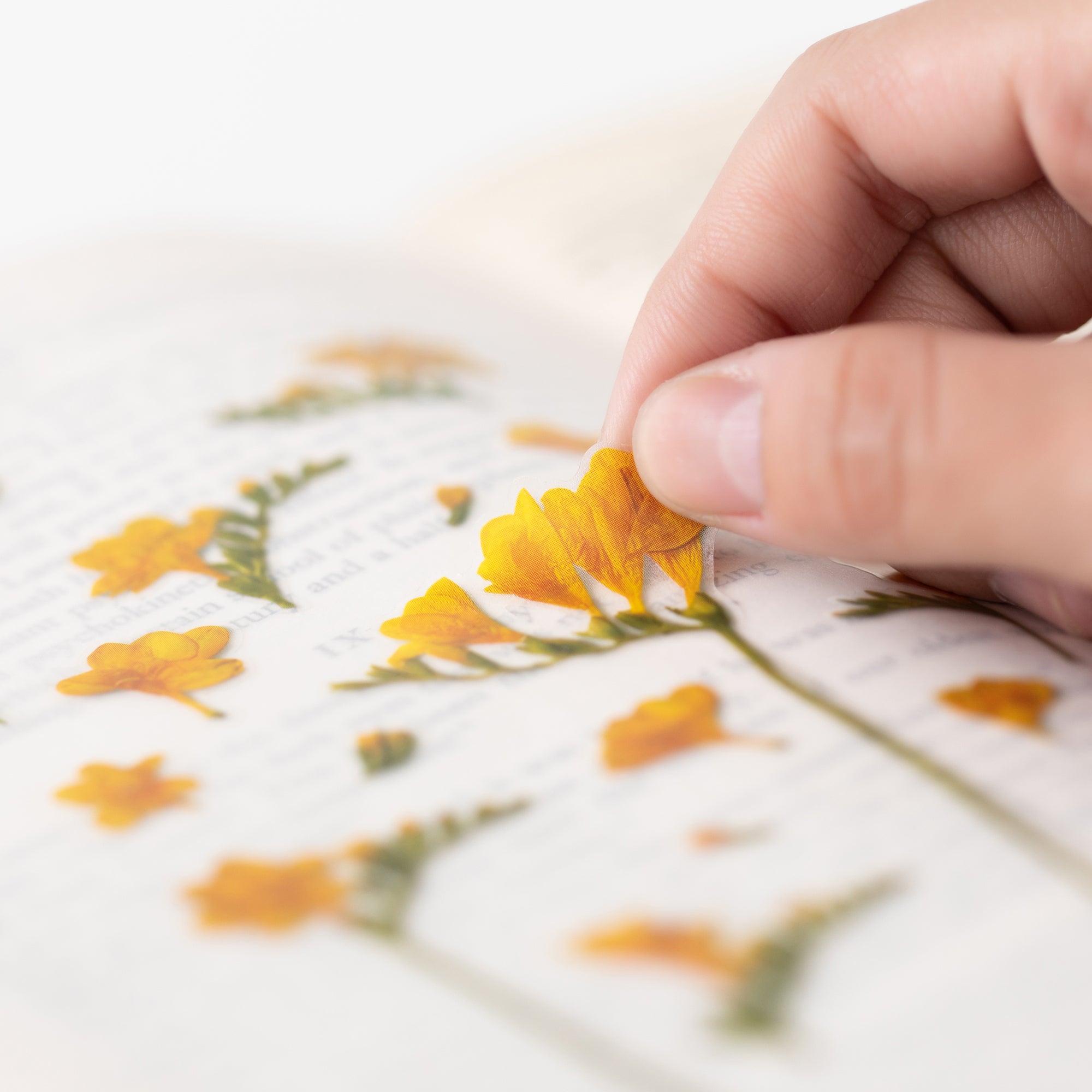 Freesia Pressed Flower Stickers