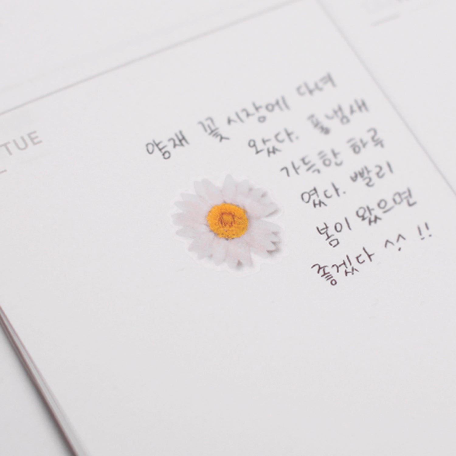 Marguerite Pressed Flower Stickers