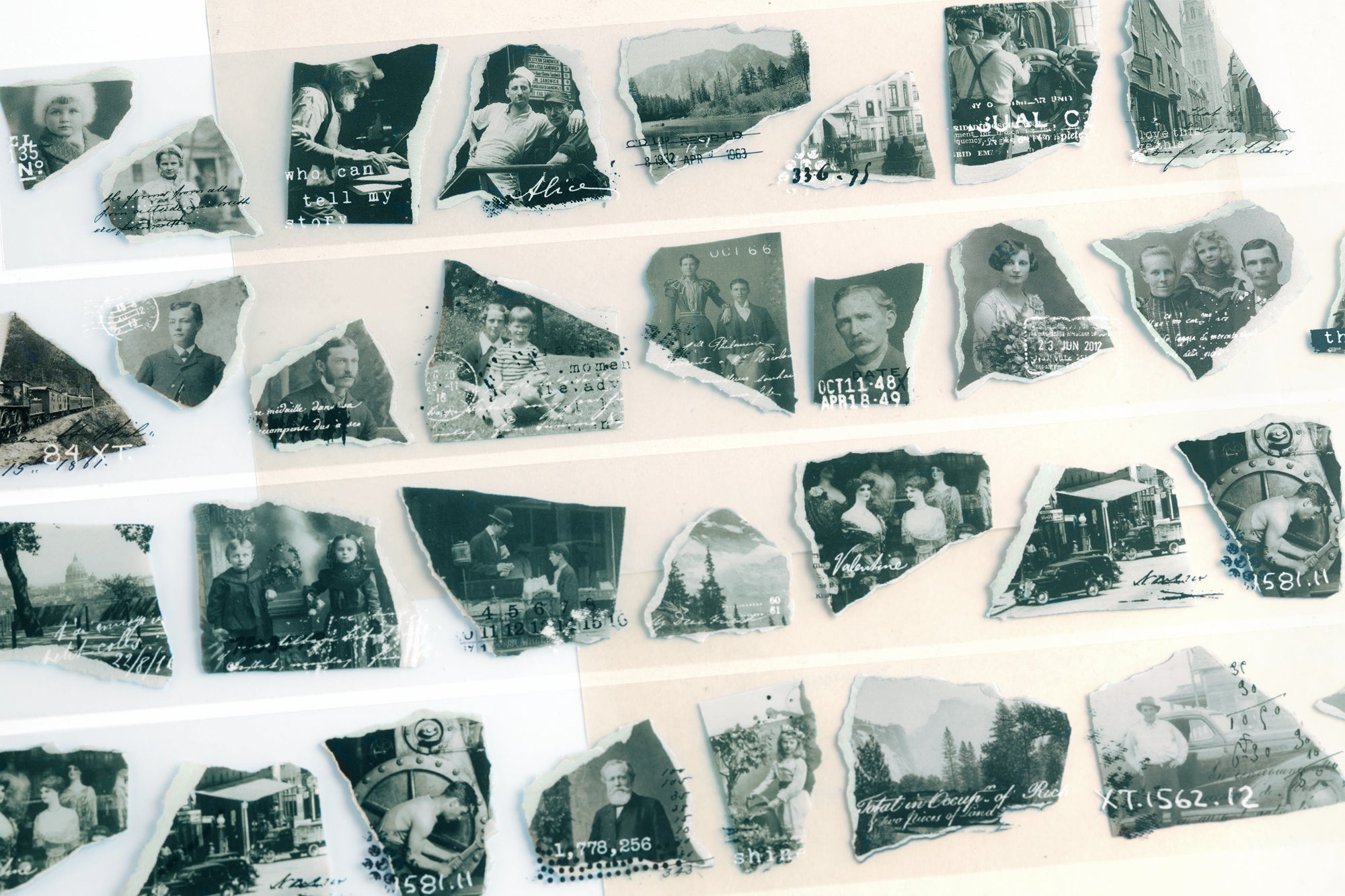 Whoopsie: Moments PET Tape