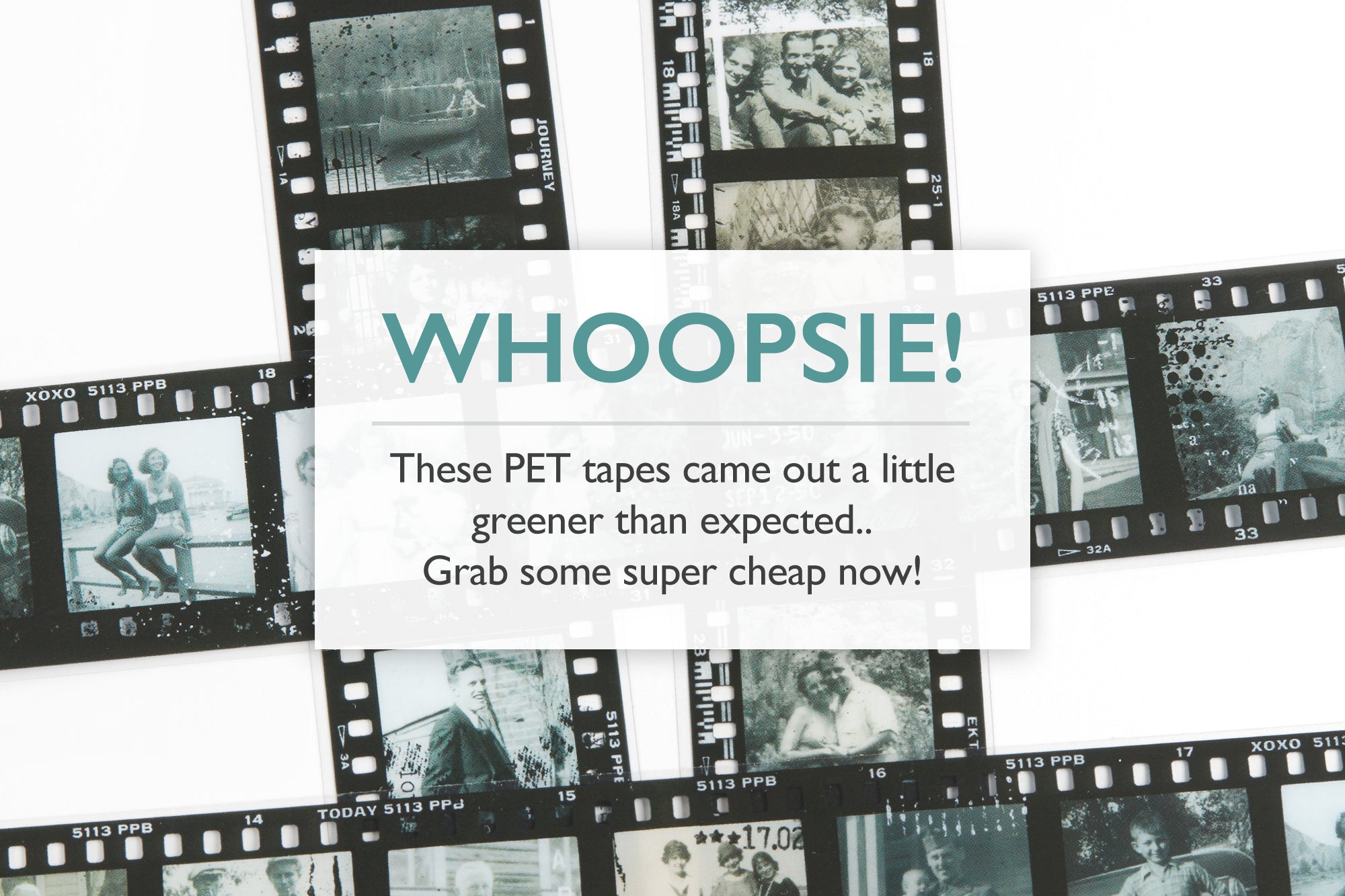 Whoopsie: Family Photos PET Tape