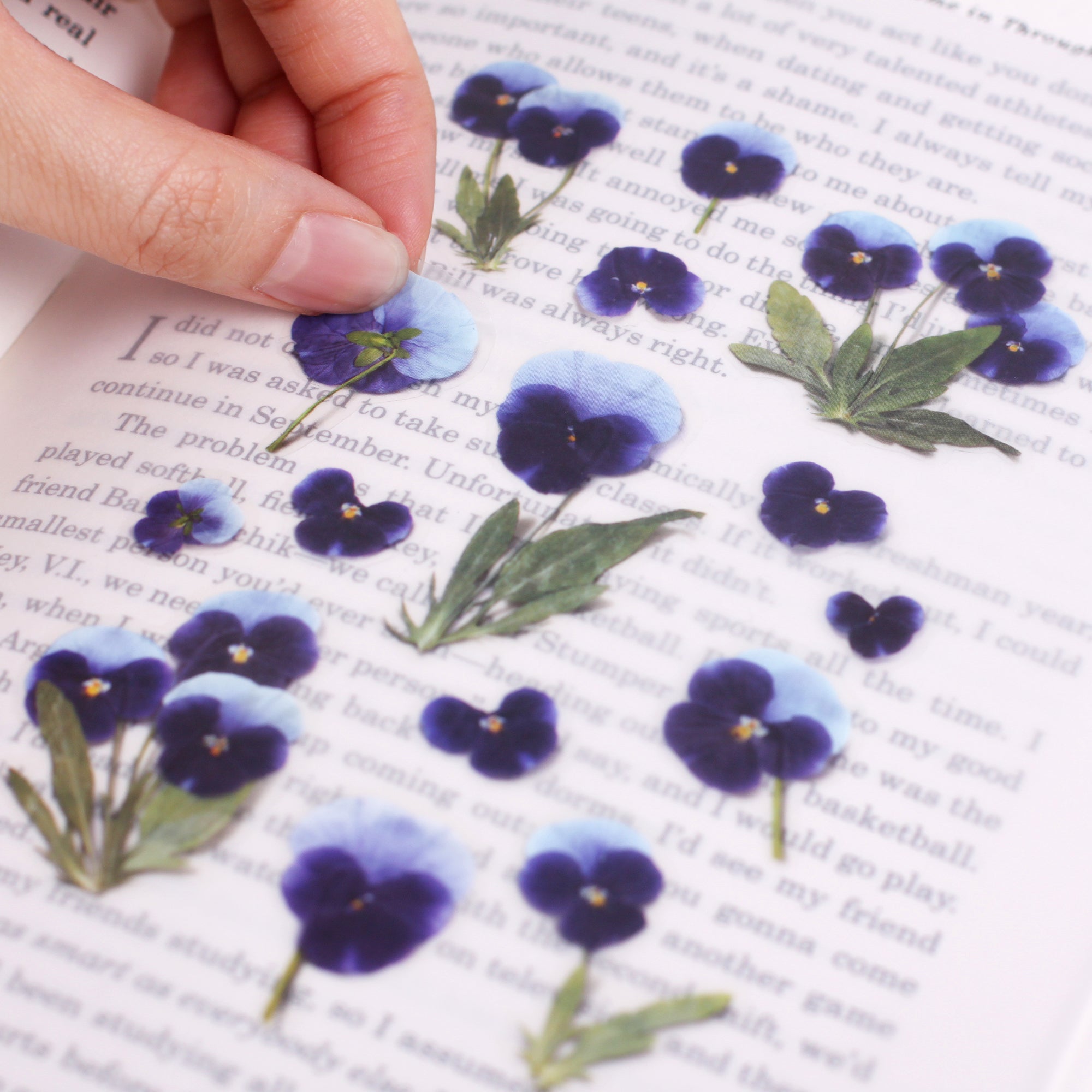 Pansy Pressed Flower Stickers