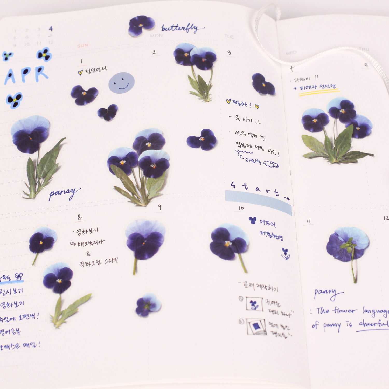 Pansy Pressed Flower Stickers