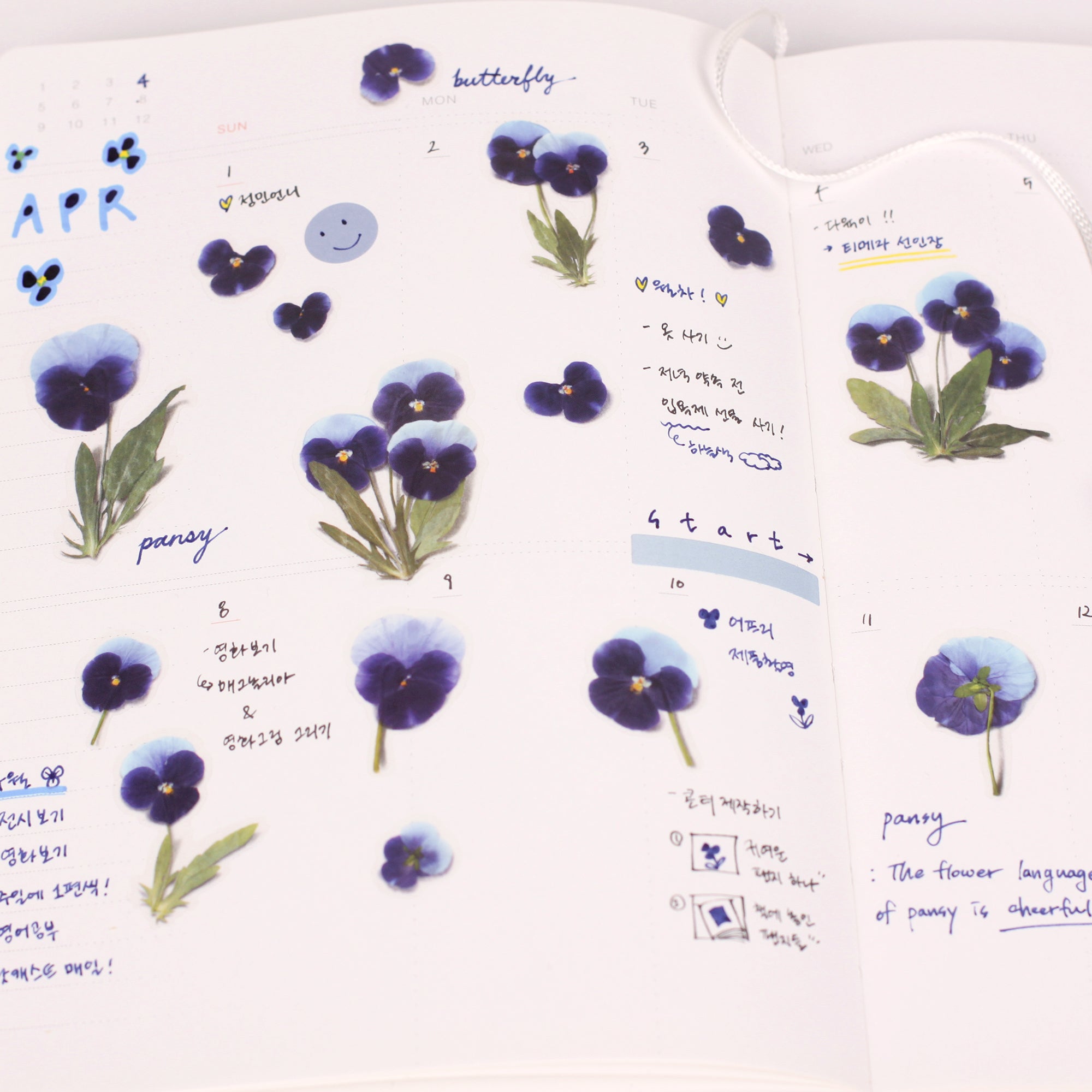 Pansy Pressed Flower Stickers