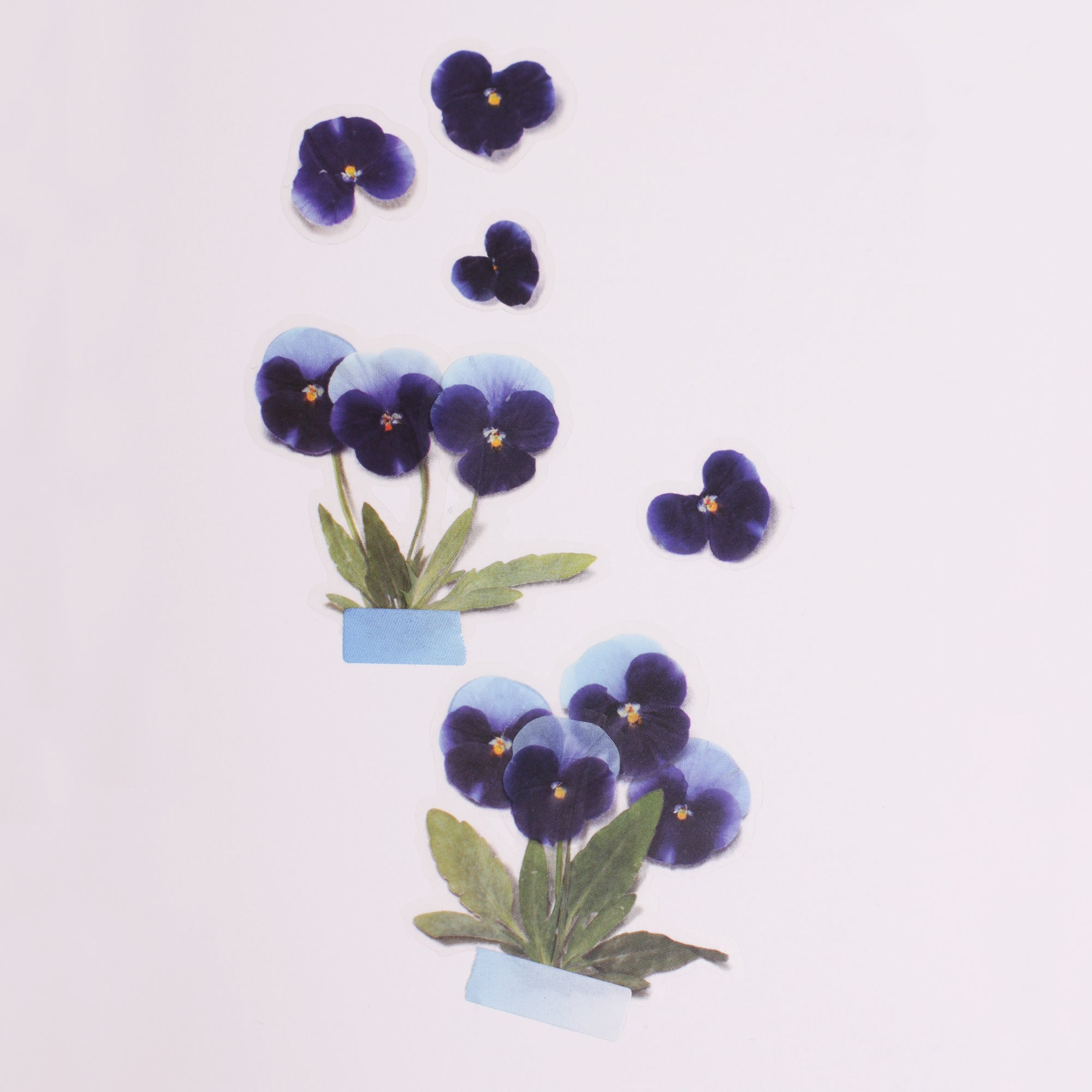 Pansy Pressed Flower Stickers