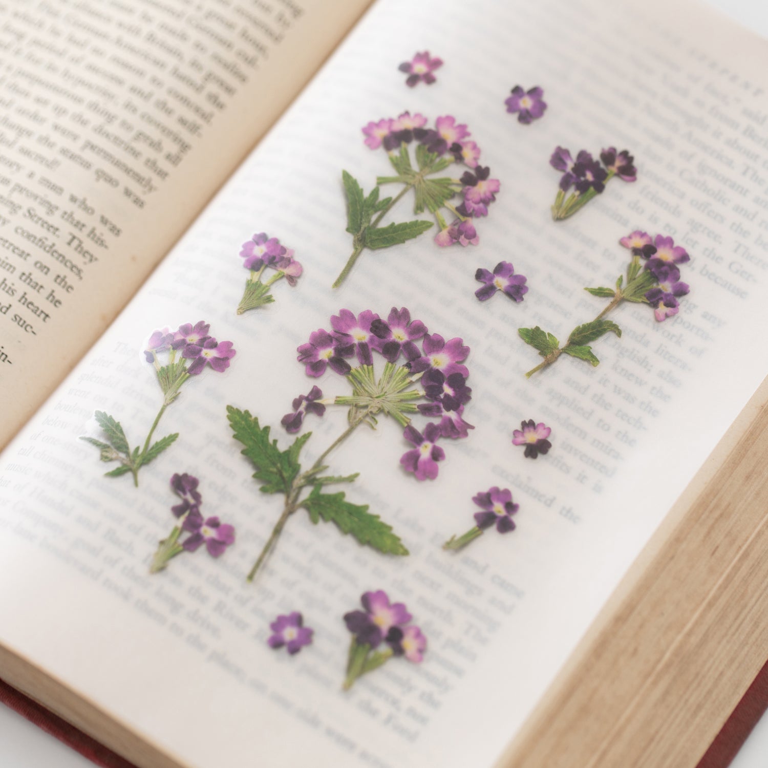 Verbena Pressed Flower Stickers
