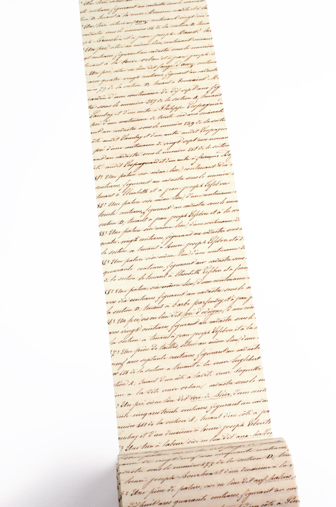 French Script Text