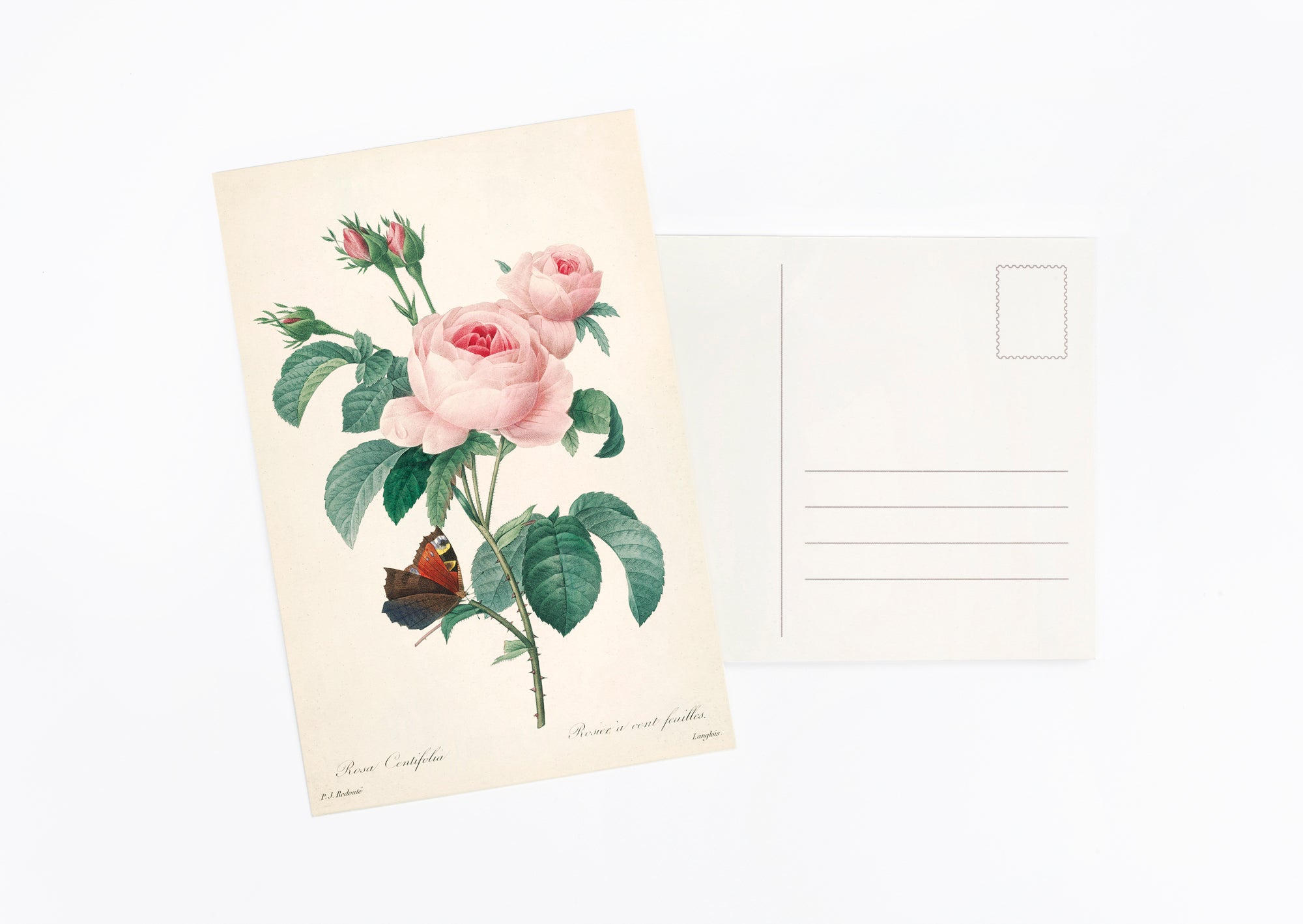 Nature Collection Postcard Set