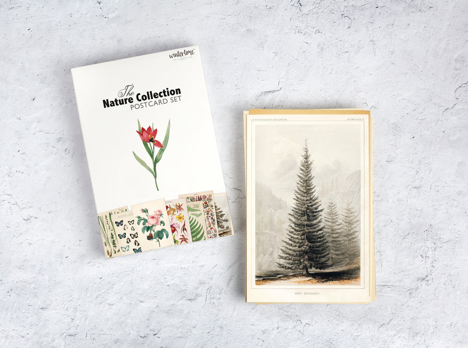 Nature Collection Postcard Set