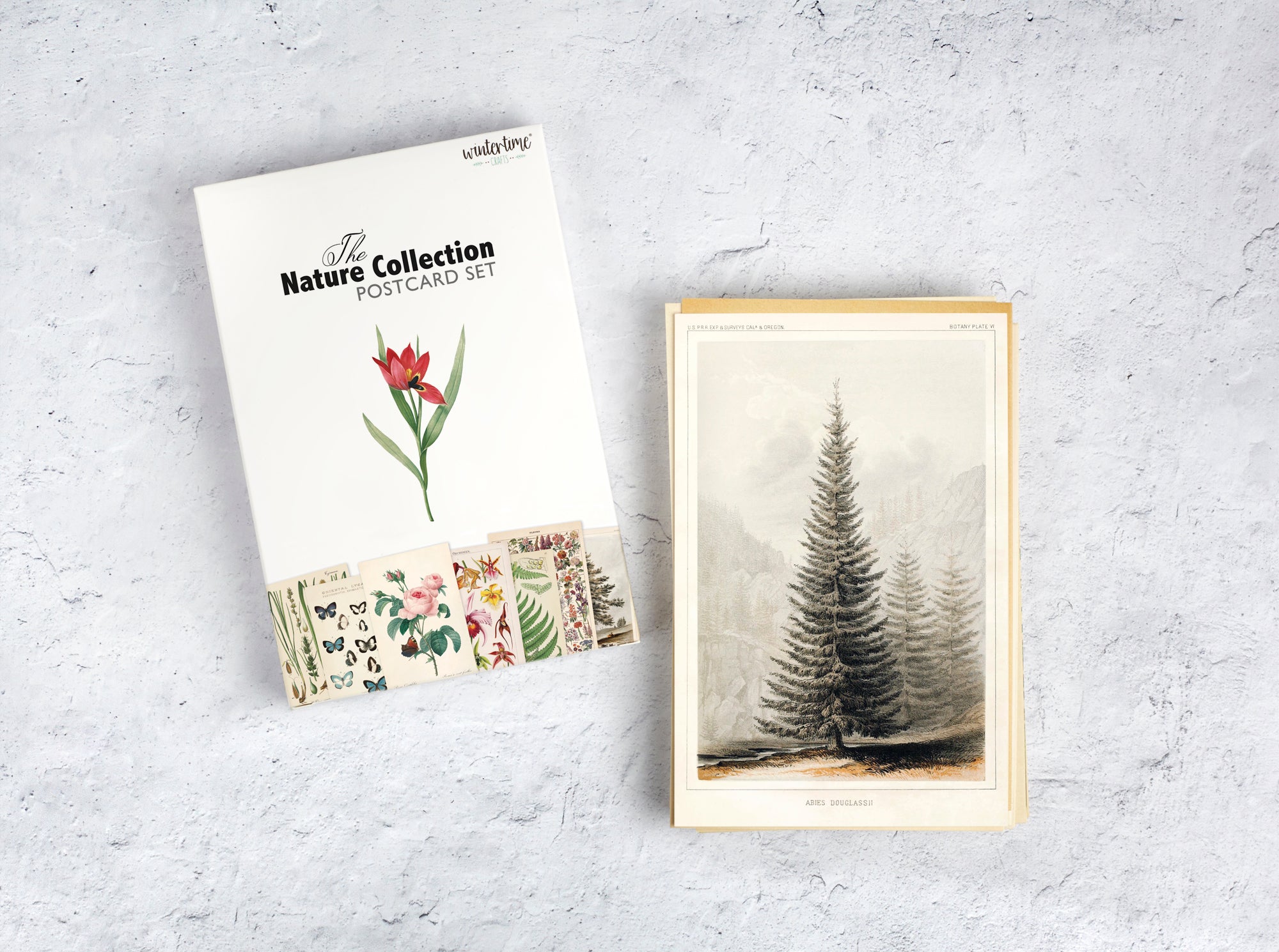 Nature Collection Postcard Set