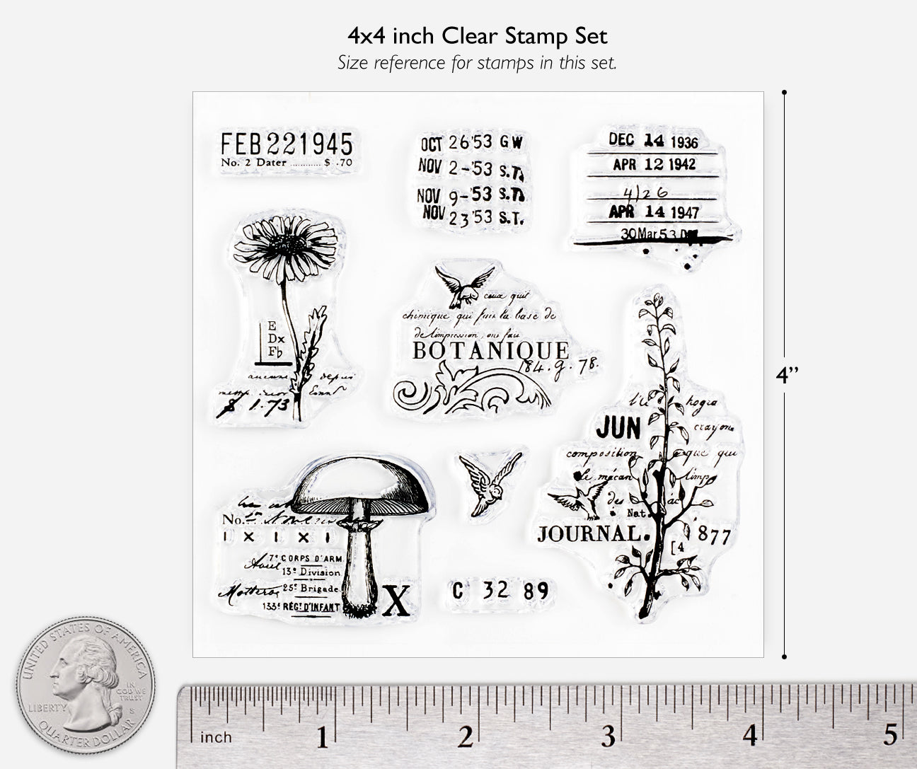 Botanical clear stamp set ruler chart