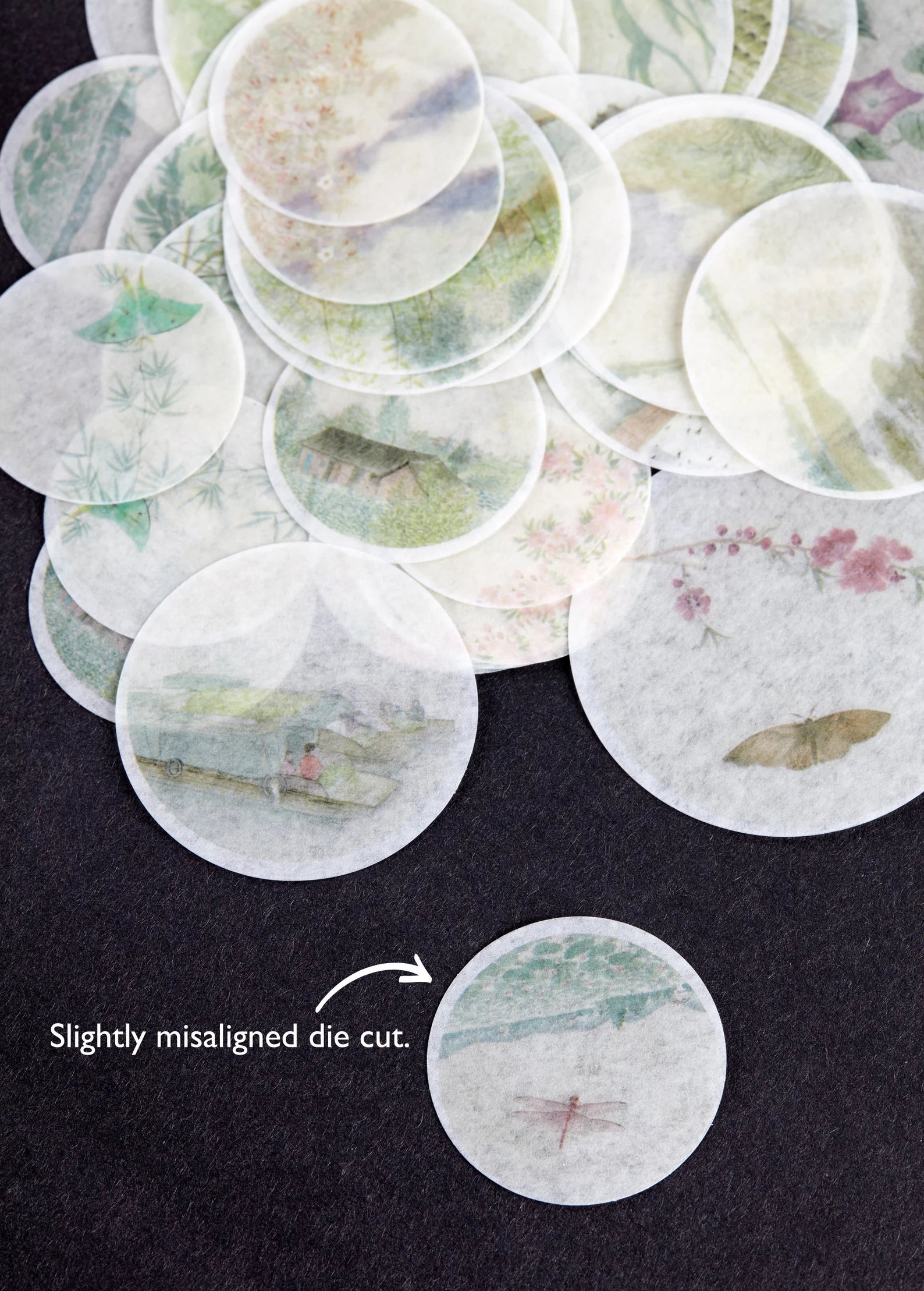 Off-Center Nature Stickers, Set of 40