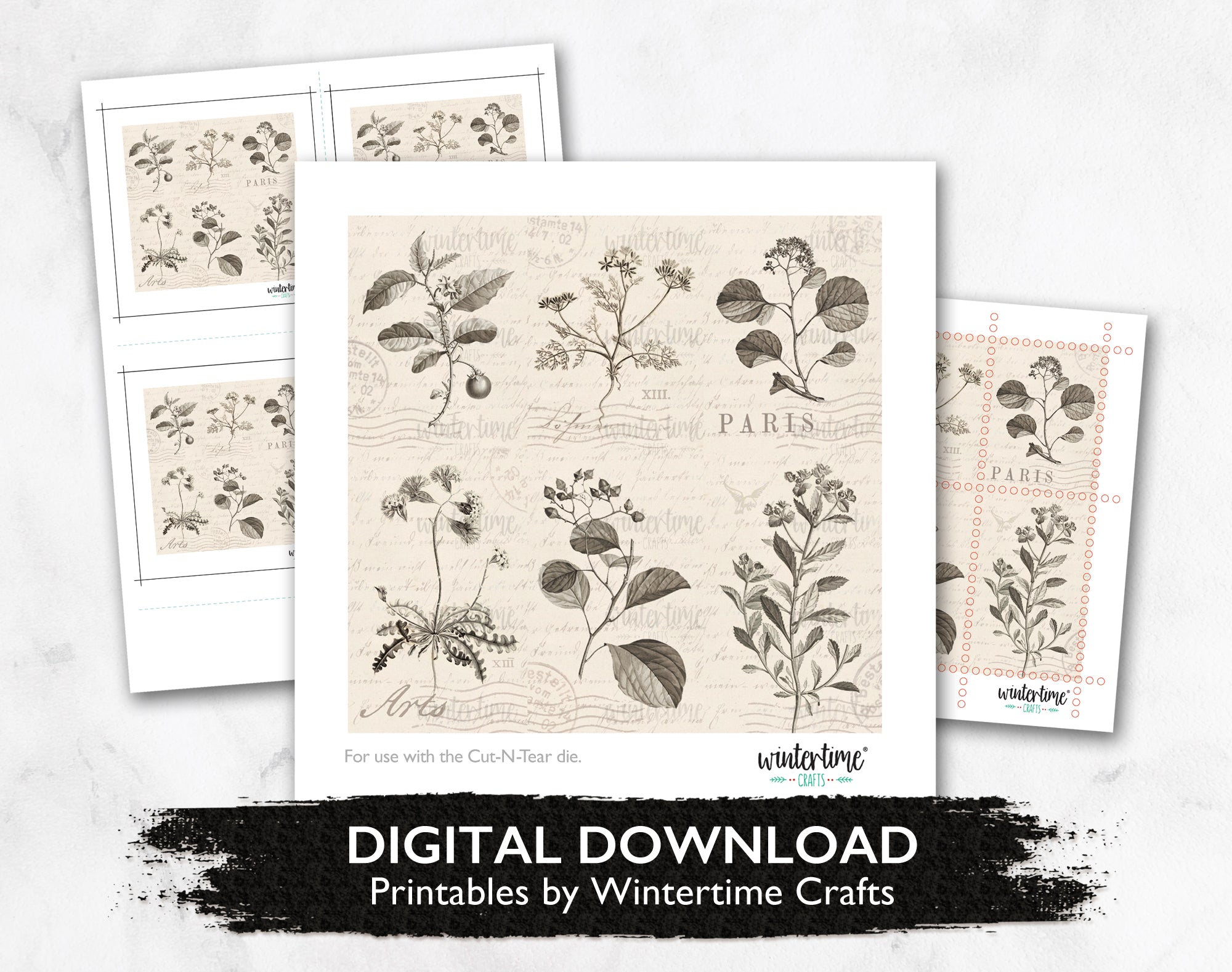 Vintage Plants - Digital