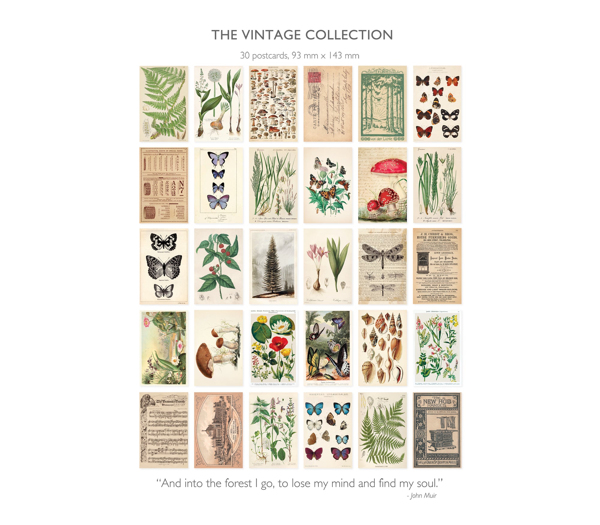 Vintage Postcard Set