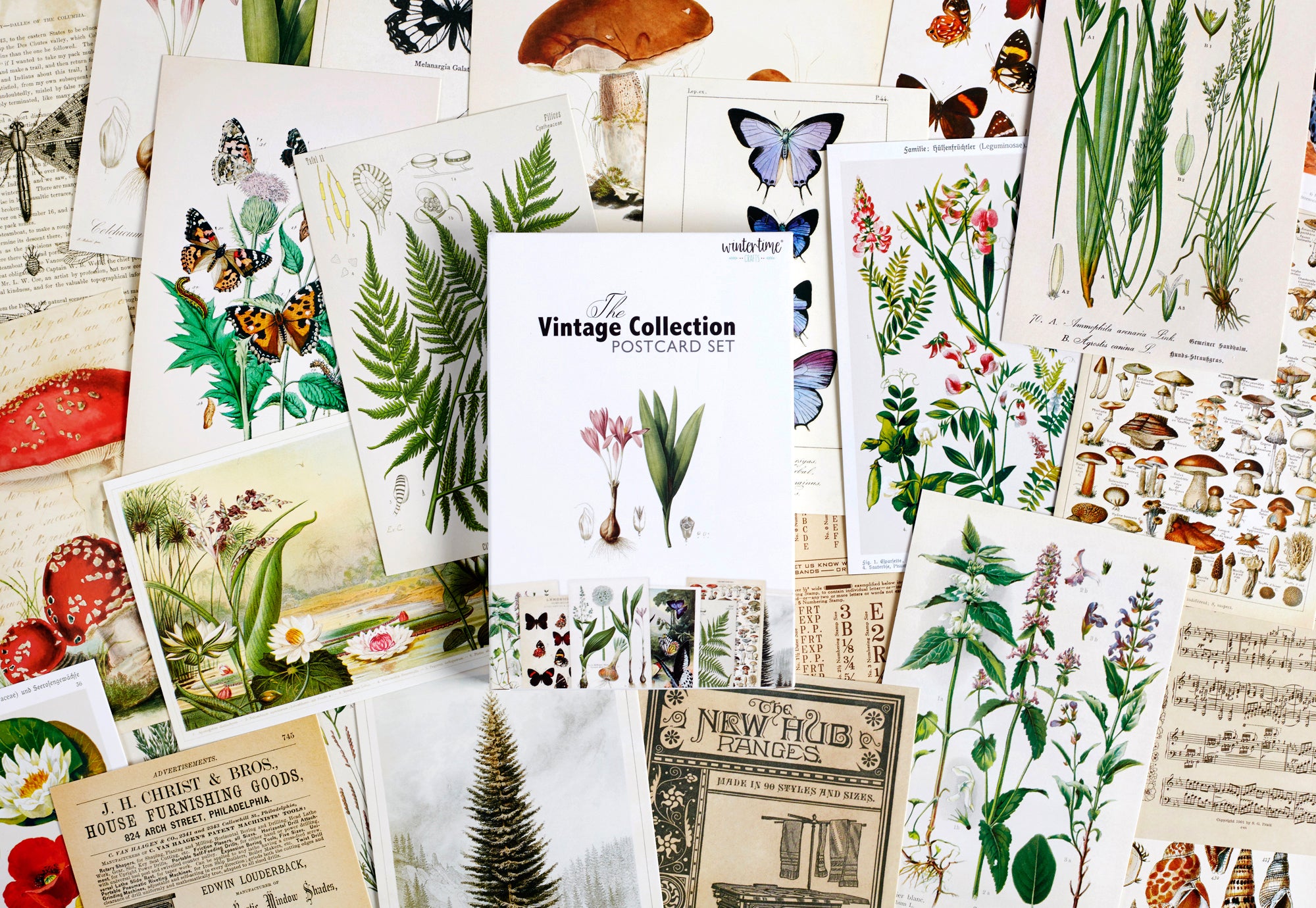 Vintage Postcard Set