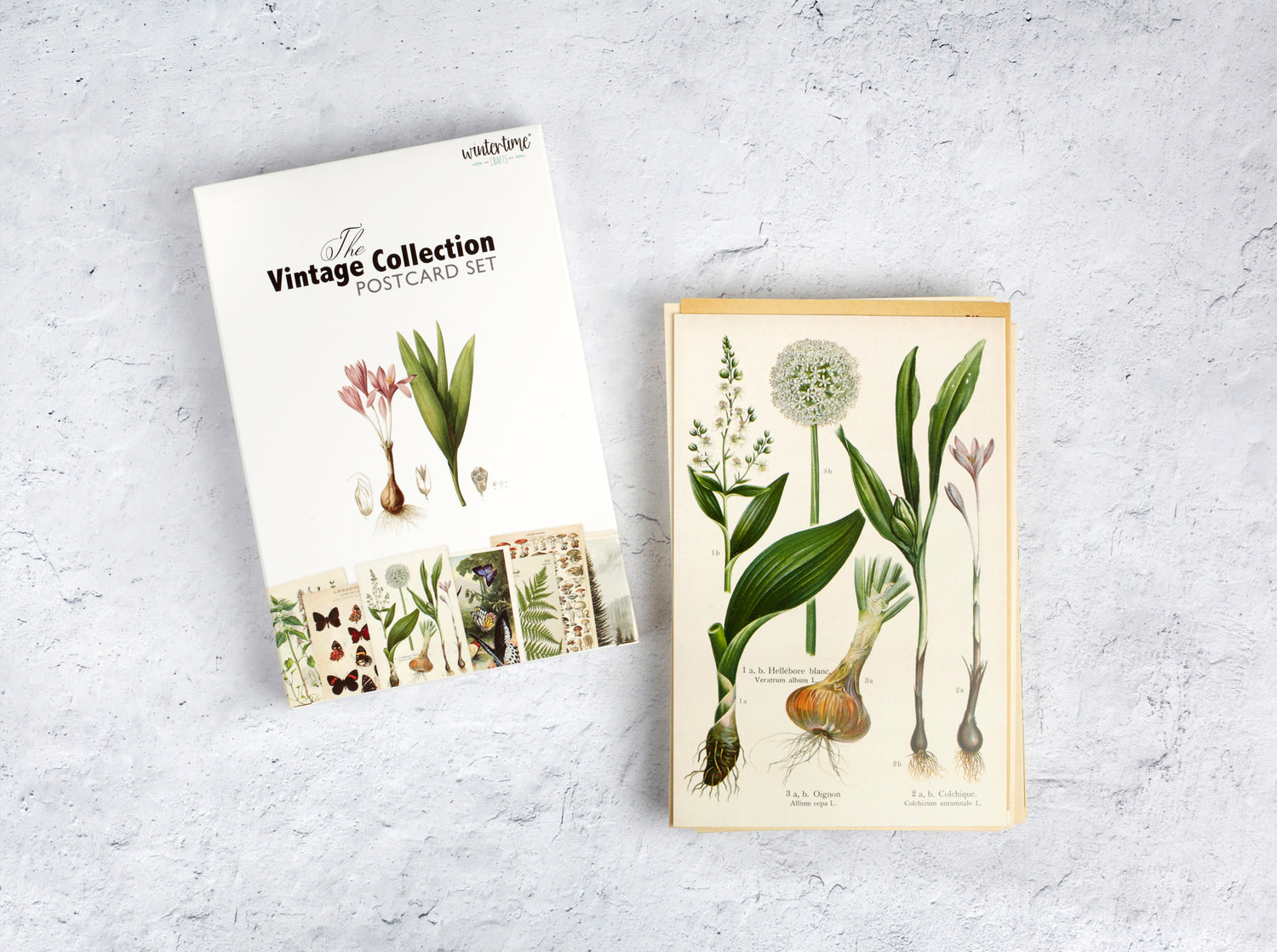 Vintage Postcard Set