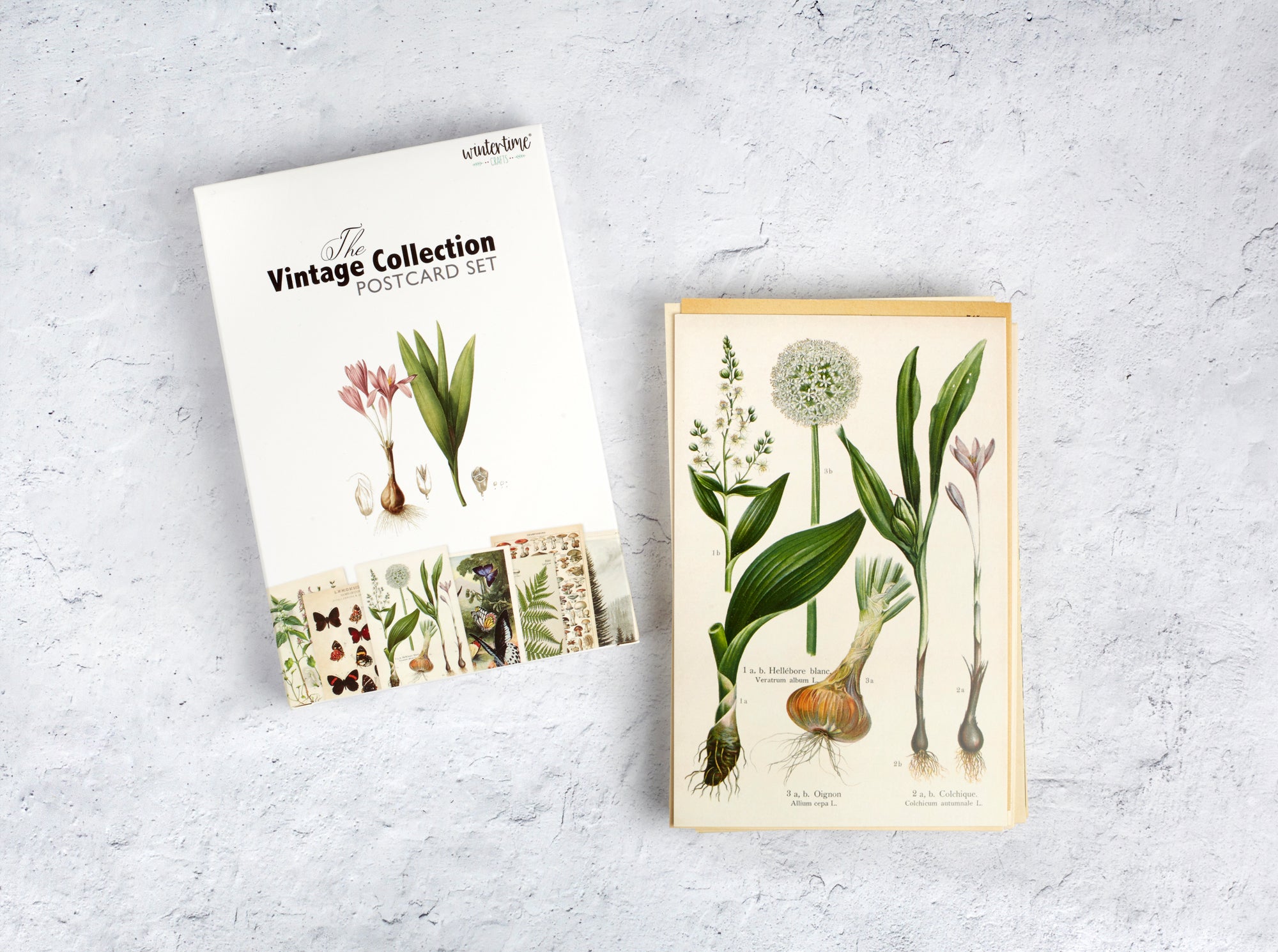 Vintage Postcard Set