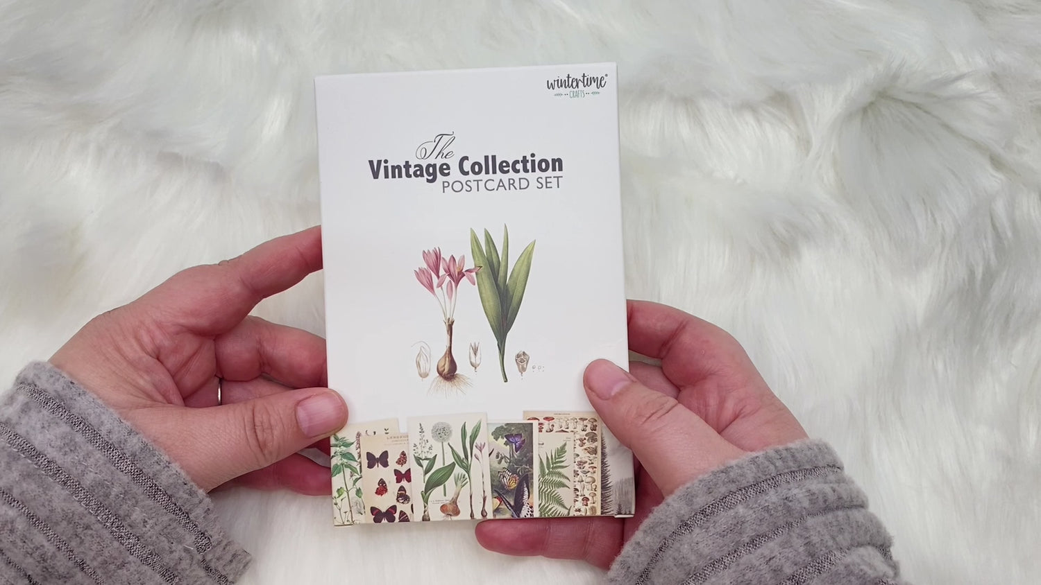 Vintage Postcard Set