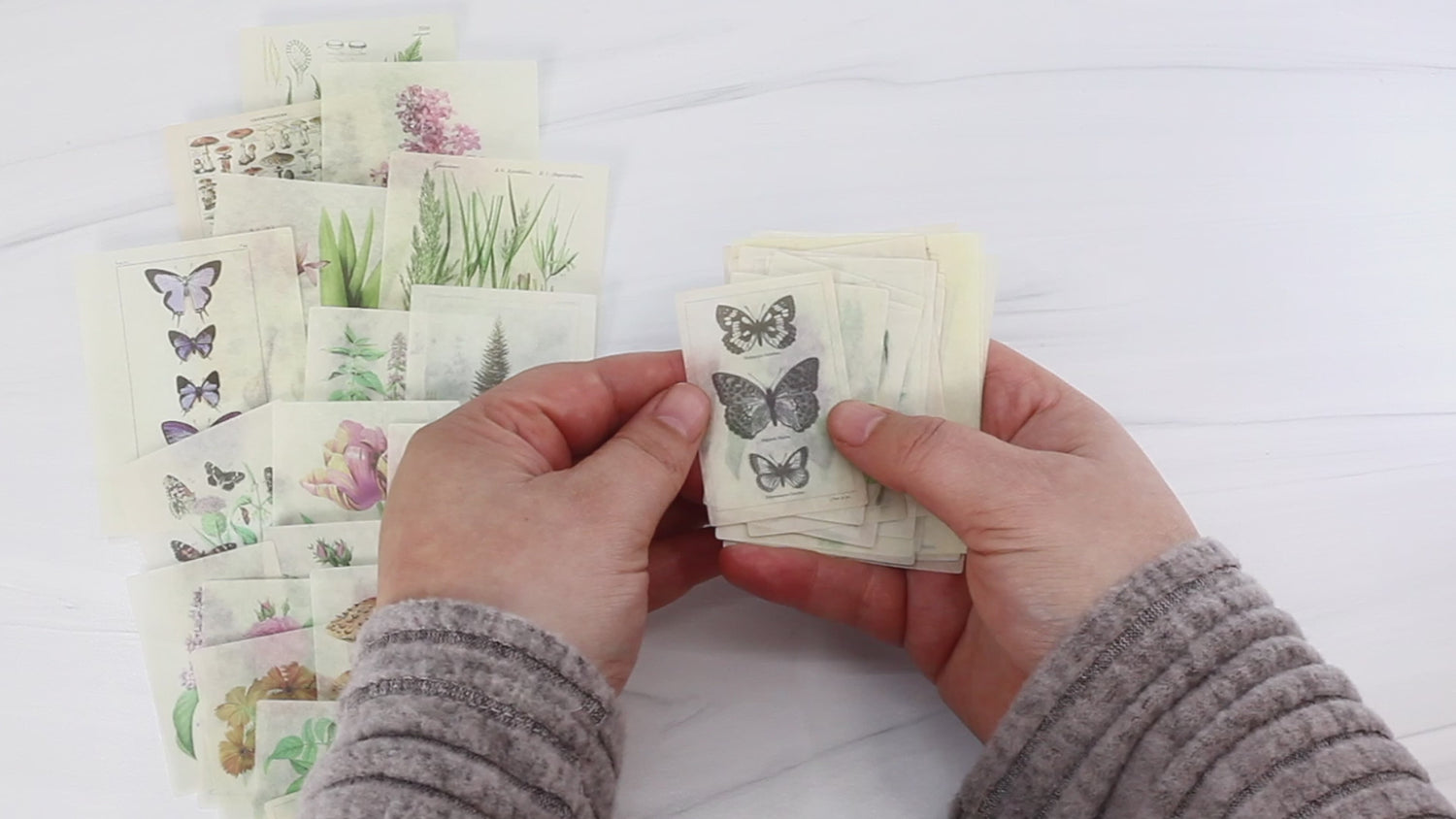 Botanical Washi Sticker Set