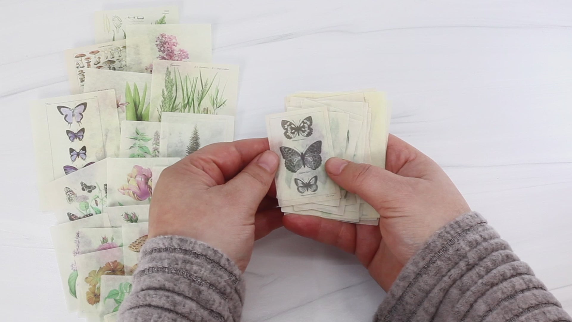 Botanical Washi Sticker Set