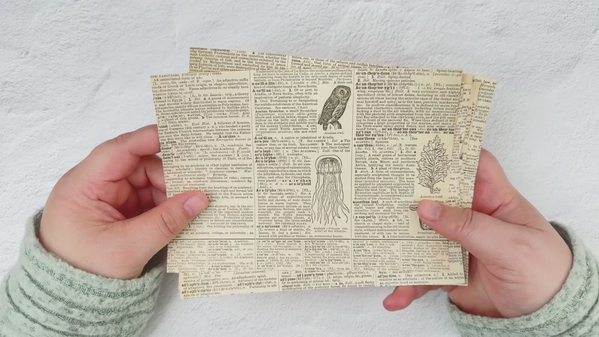 Old Dictionary Sticker Sheets