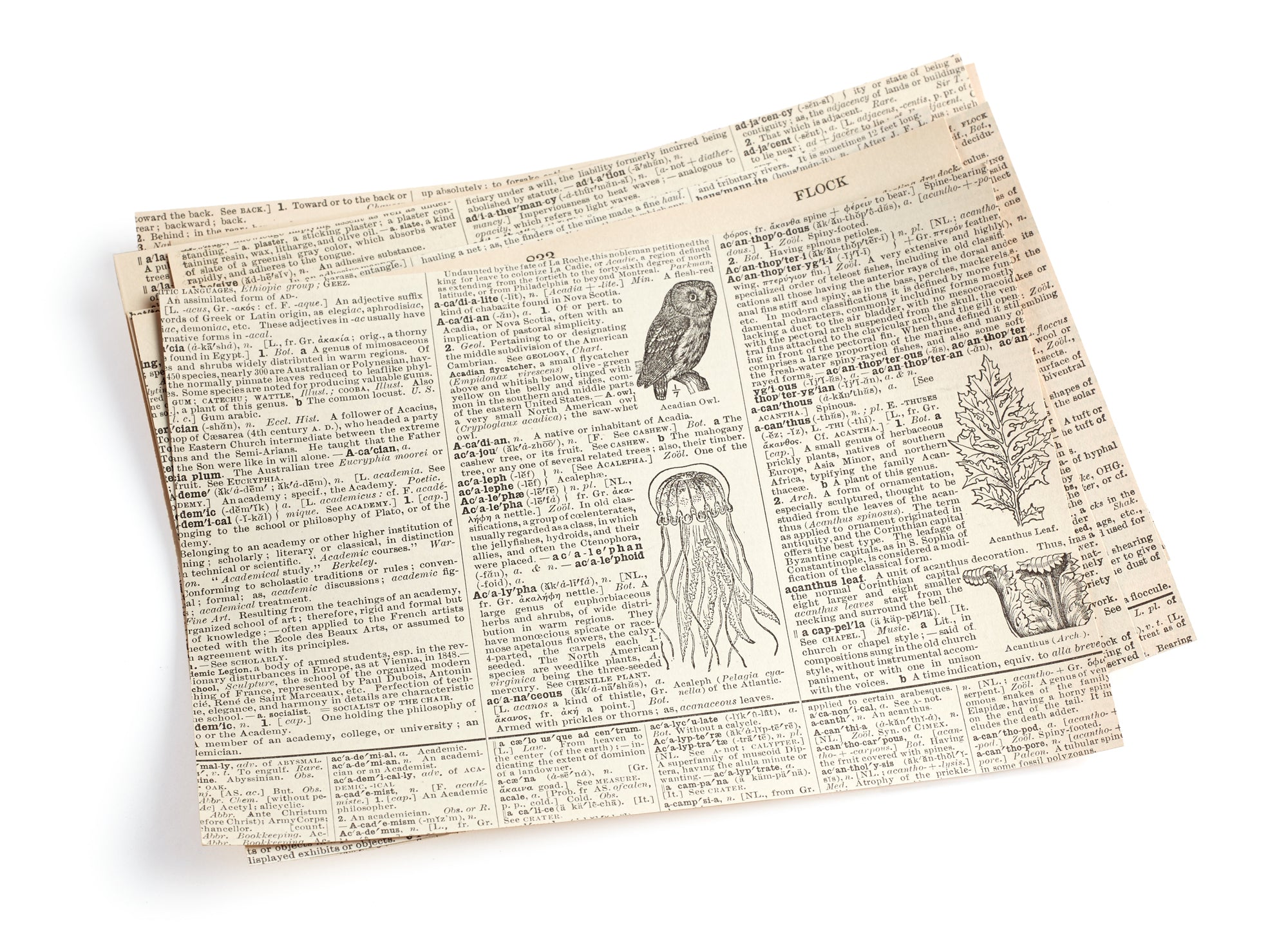 Old Dictionary Sticker Sheets