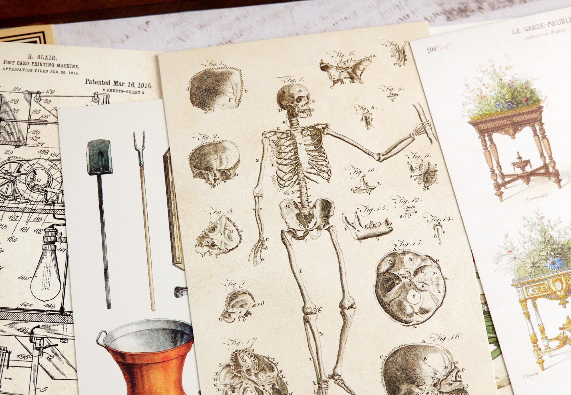 The Collector&