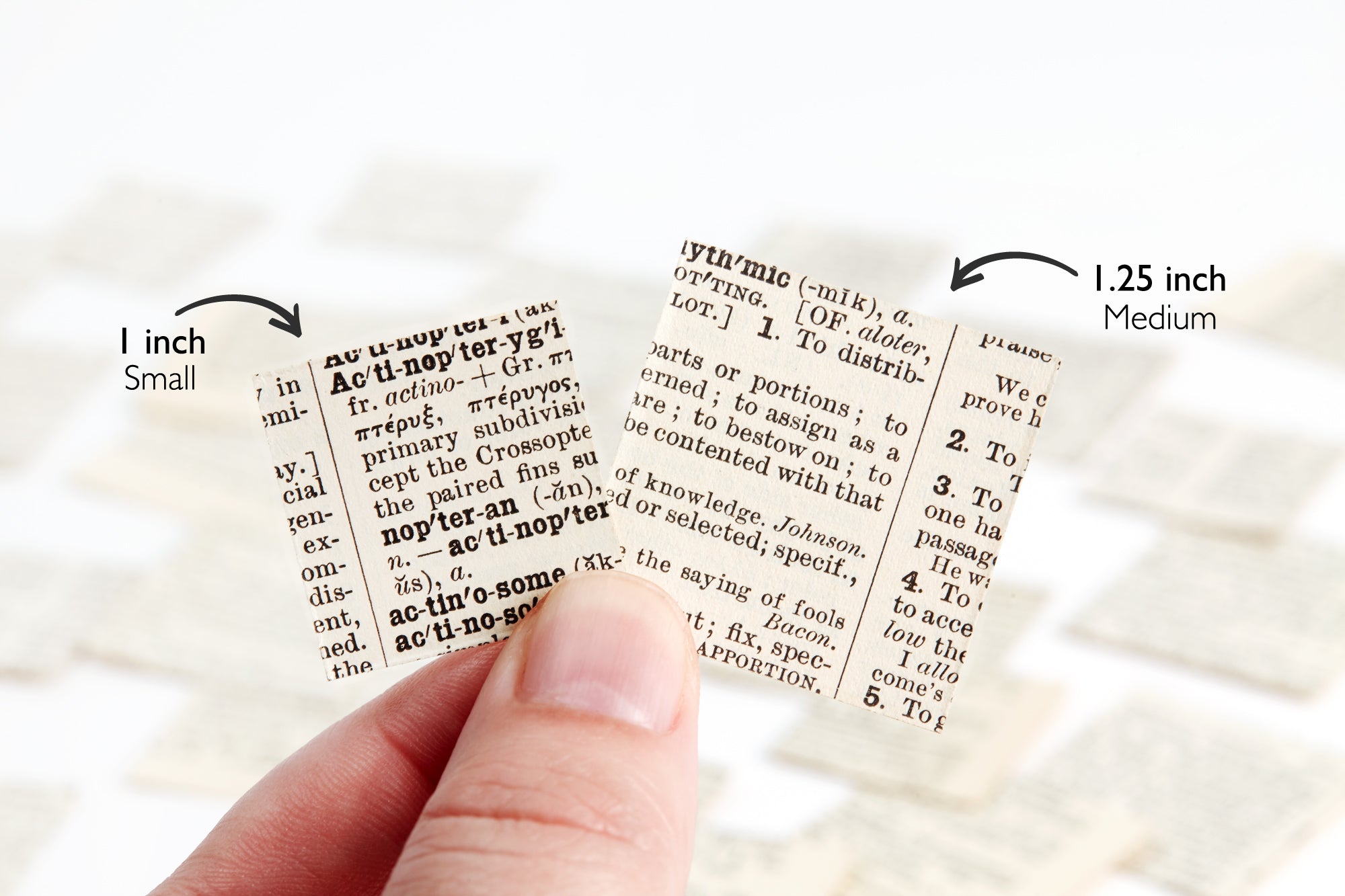 Square Die Cut Stickers