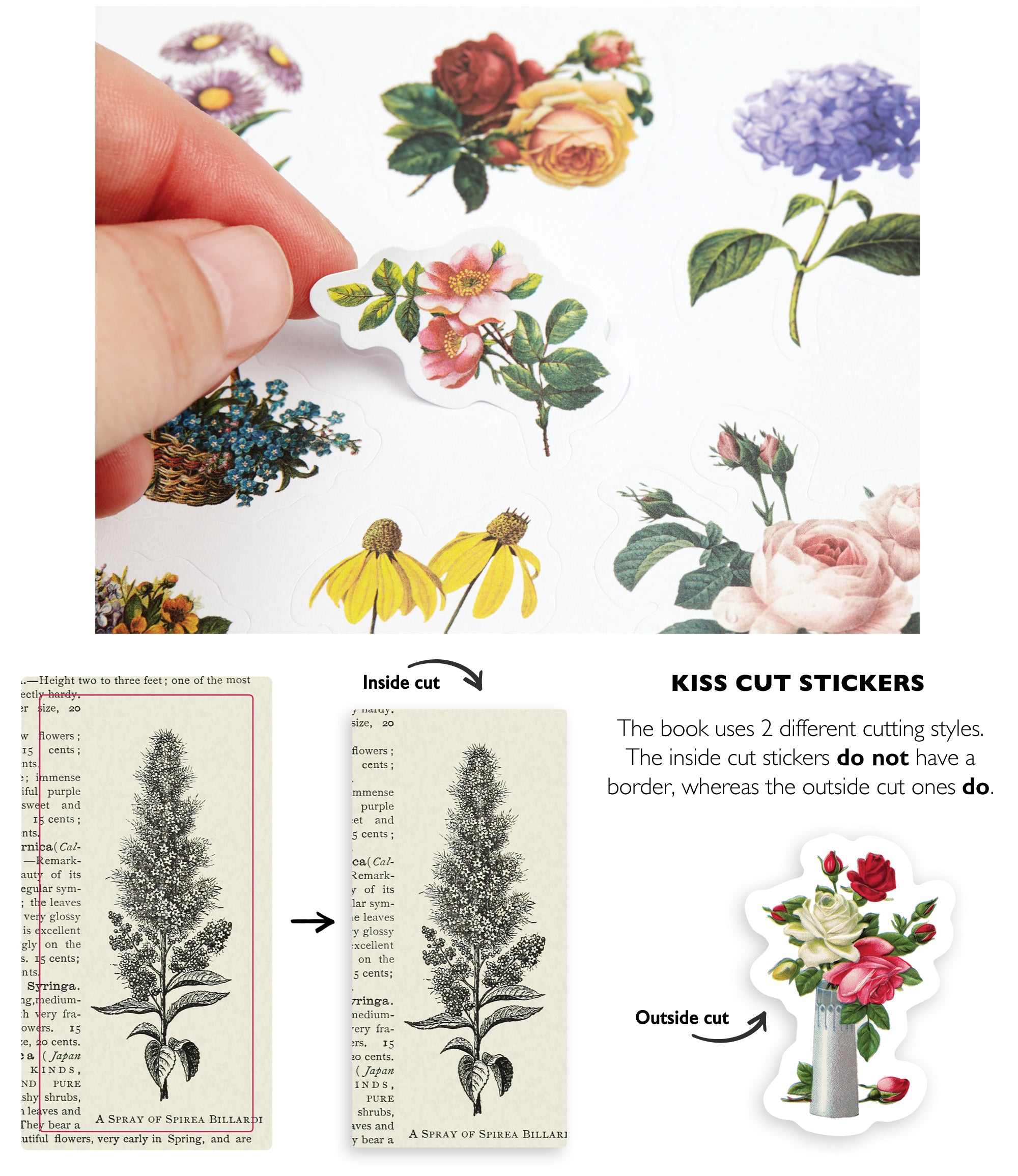 Sticker Book