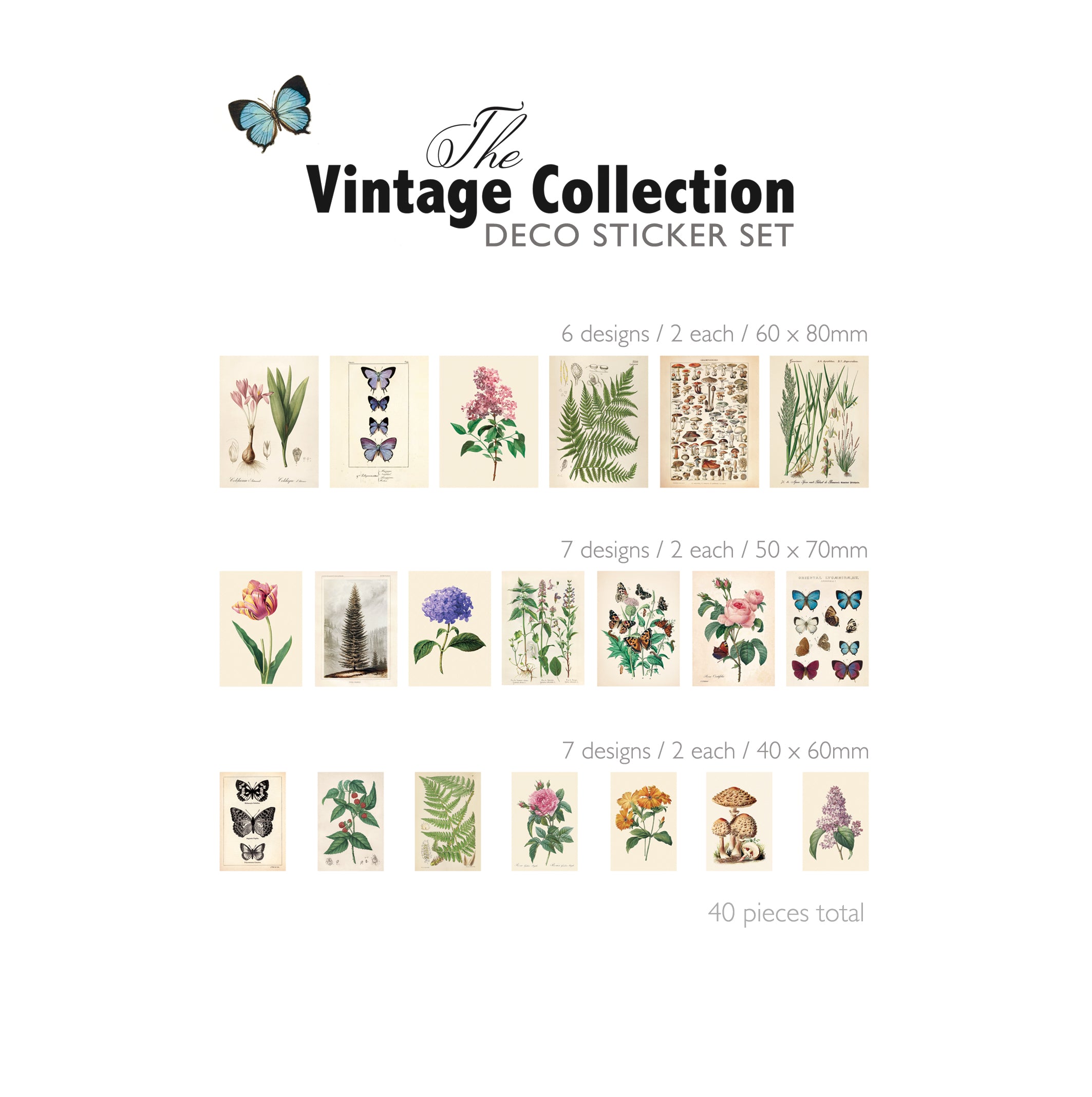 Botanical Washi Sticker Set