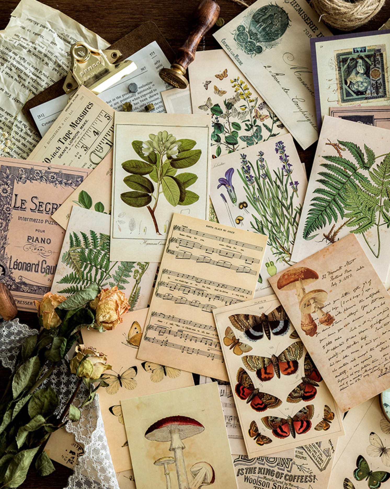 Vintage Nature Postcard Set