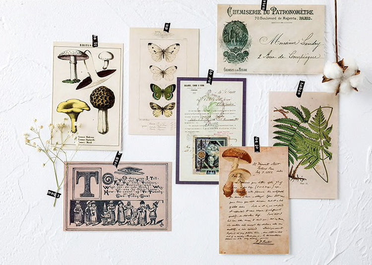 Vintage Nature Postcard Set