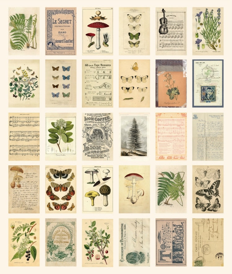 Vintage Nature Postcard Set