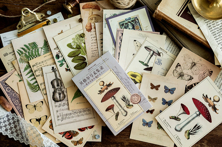 Vintage Nature Postcard Set