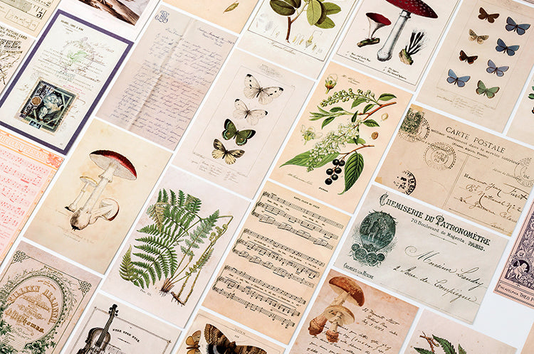 Vintage Nature Postcard Set