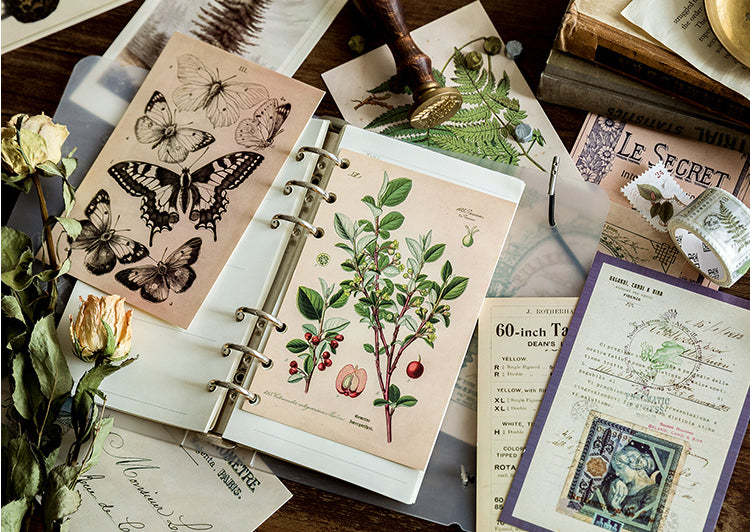 Vintage Nature Postcard Set