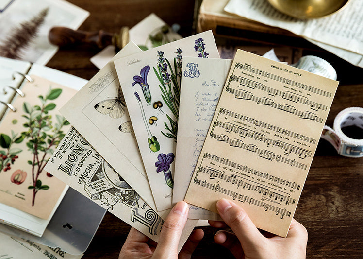Vintage Nature Postcard Set
