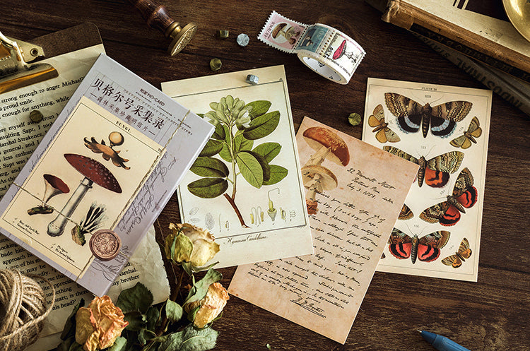 Vintage Nature Postcard Set