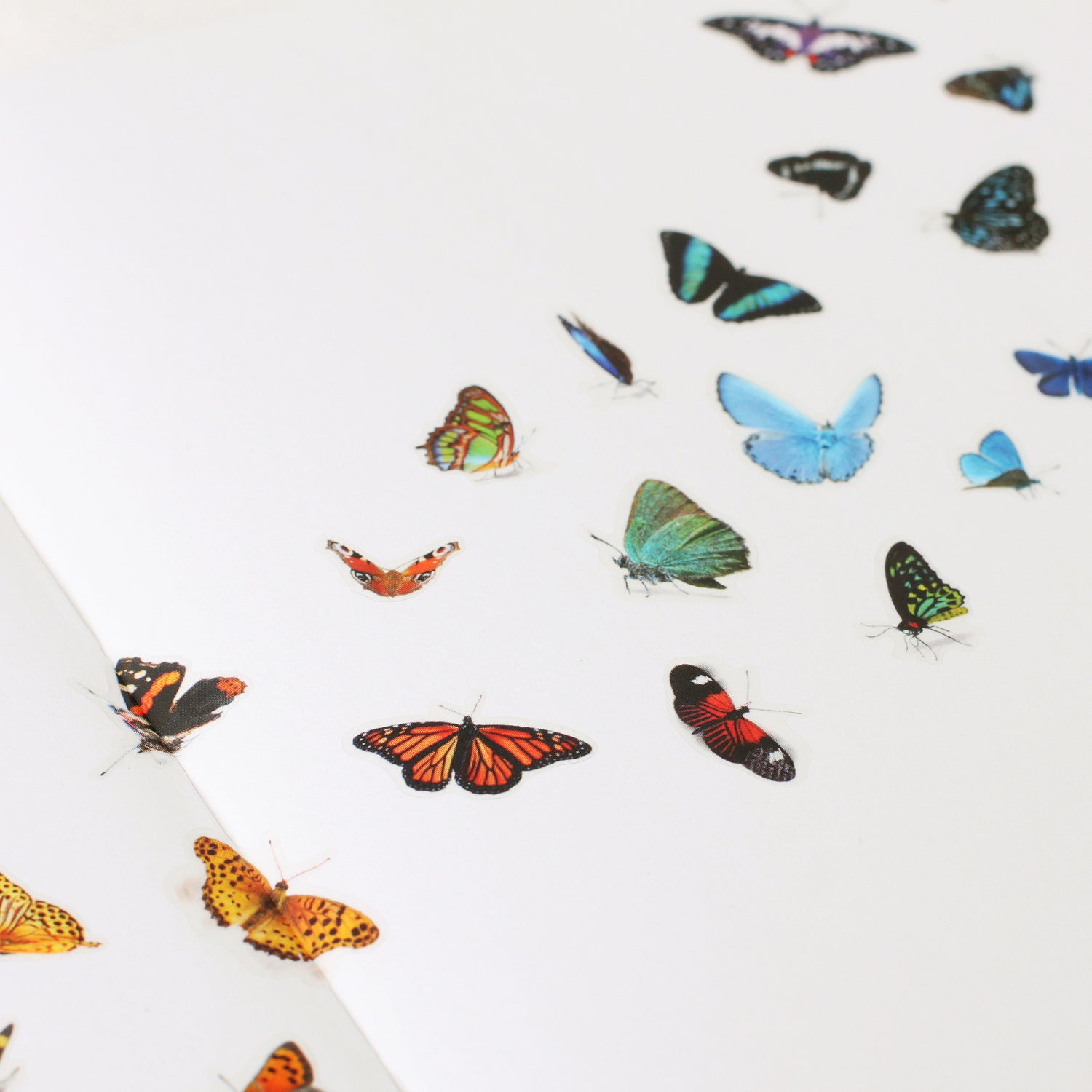 Butterfly Stickers