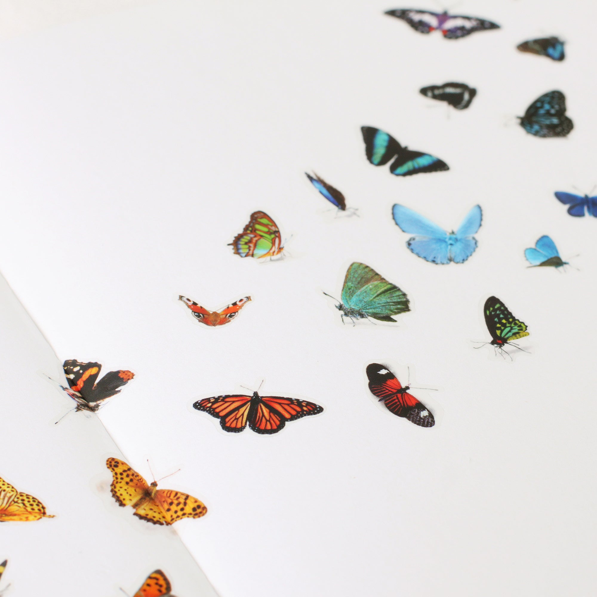 Butterfly Stickers
