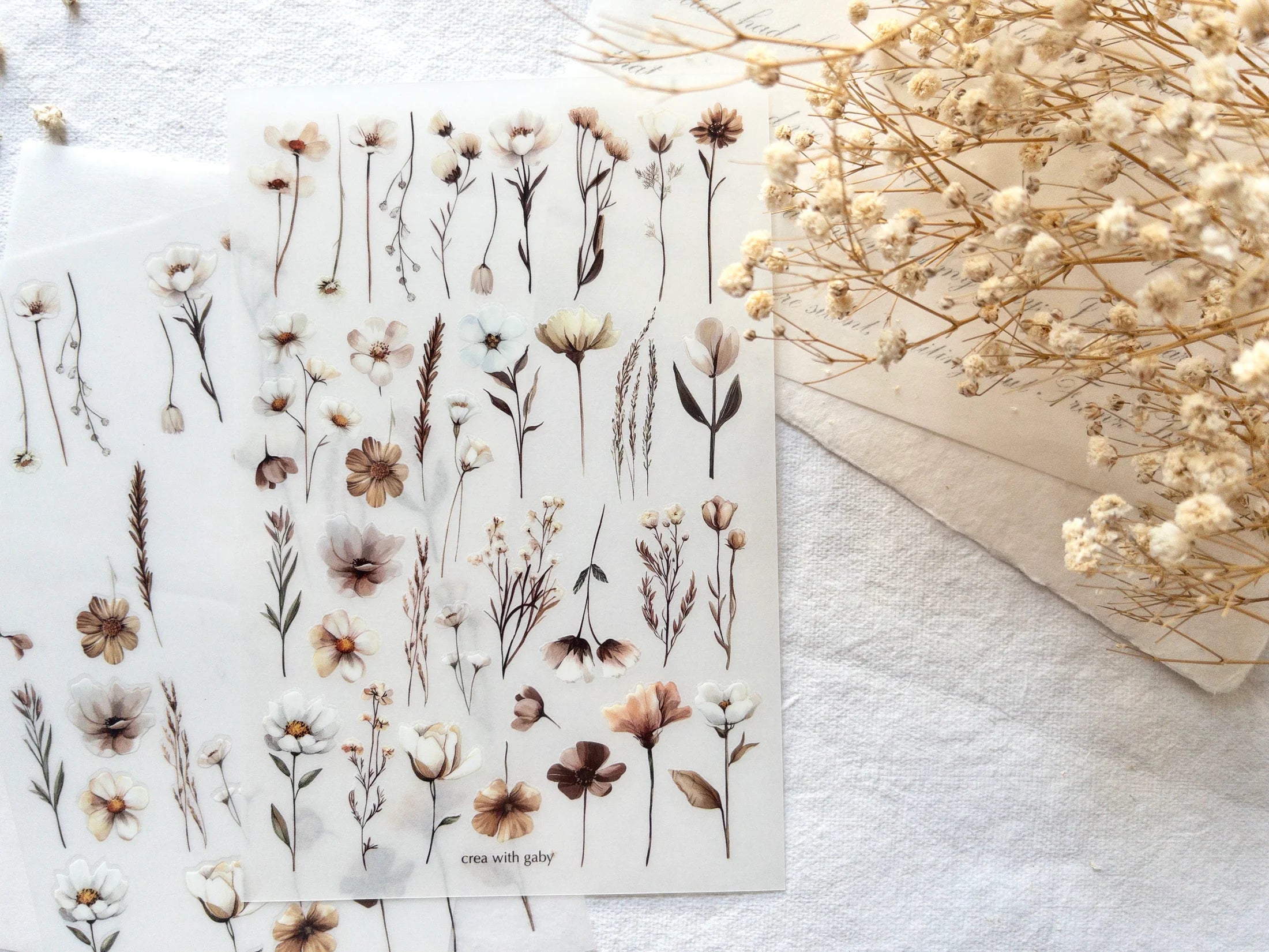 Sheet of floral stickers with dried flowers on a white surface