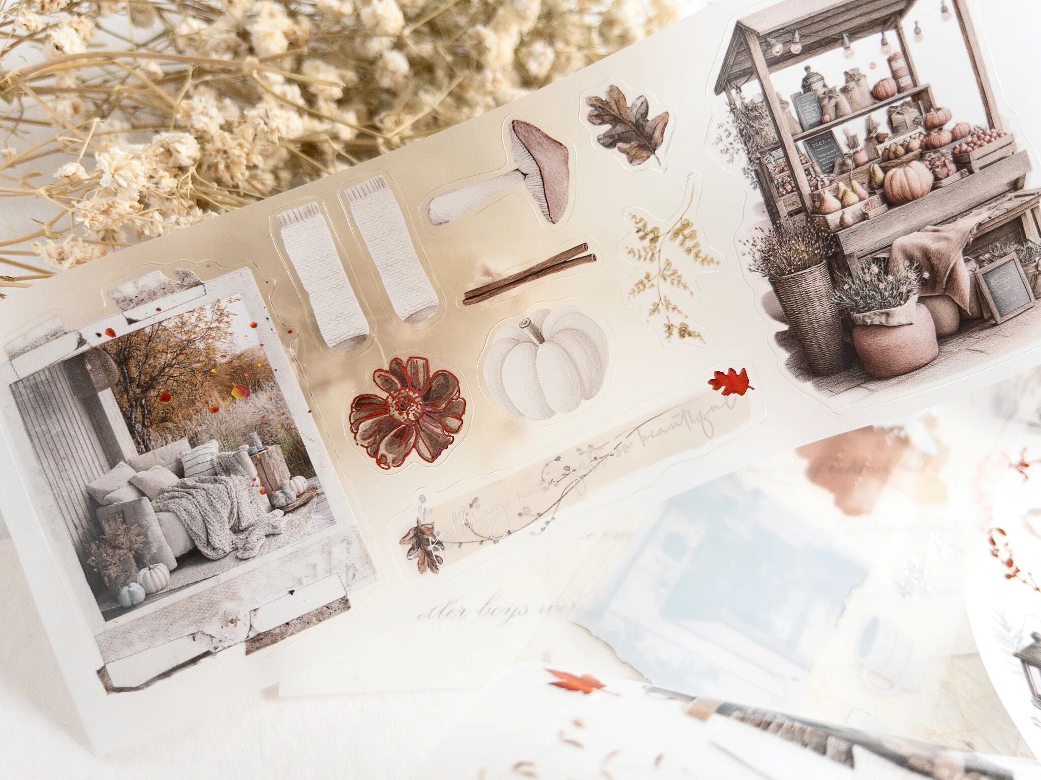 Autumn&