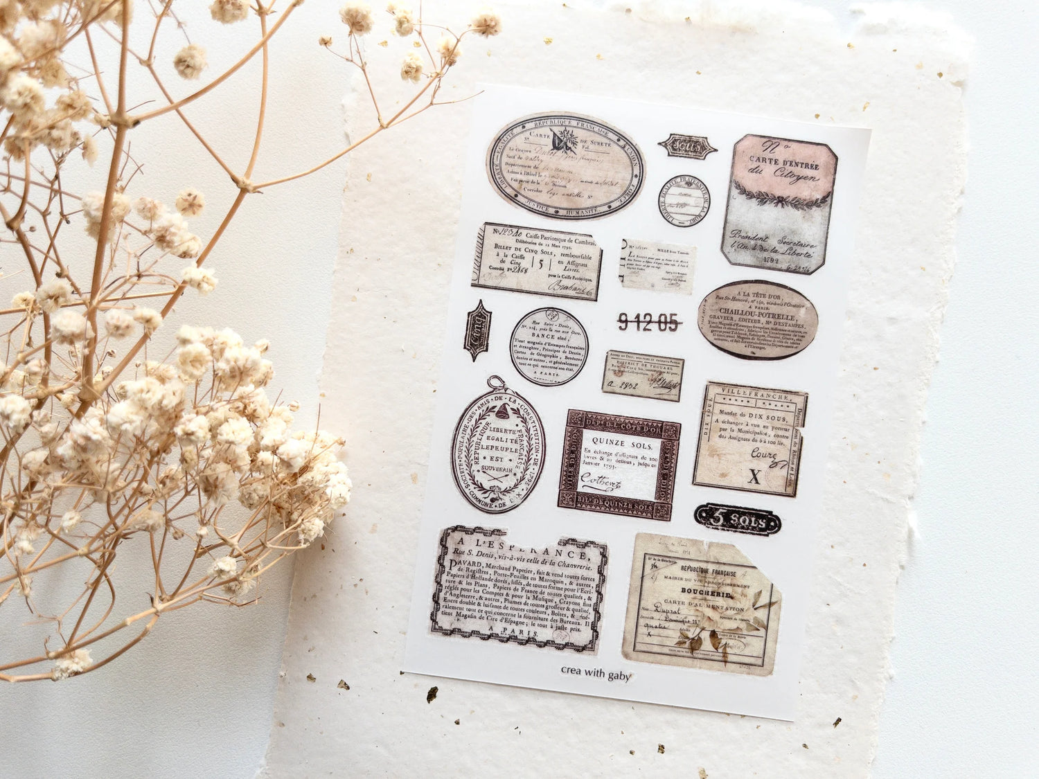 Collection of vintage-style rub-on transfers on a textured surface with dried flowers.