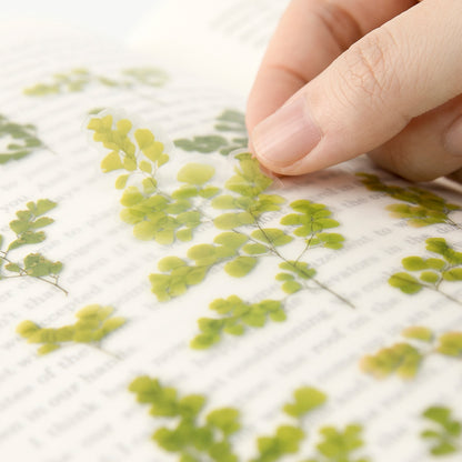 Adiantum Pressed Flower Stickers