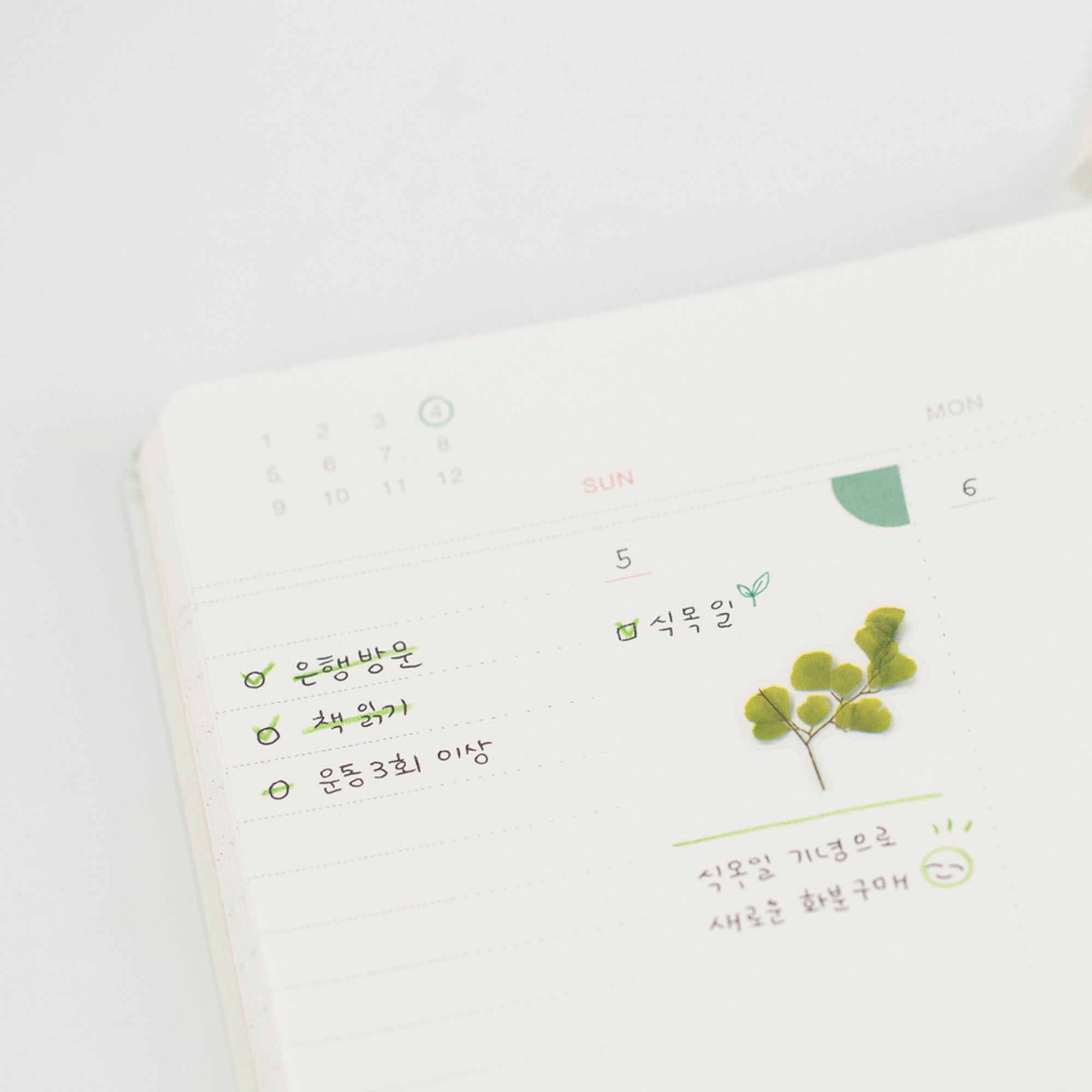 Adiantum Pressed Flower Stickers