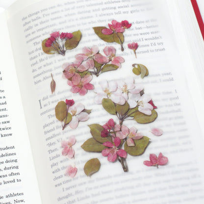 Apple Blossom Pressed Flower Stickers