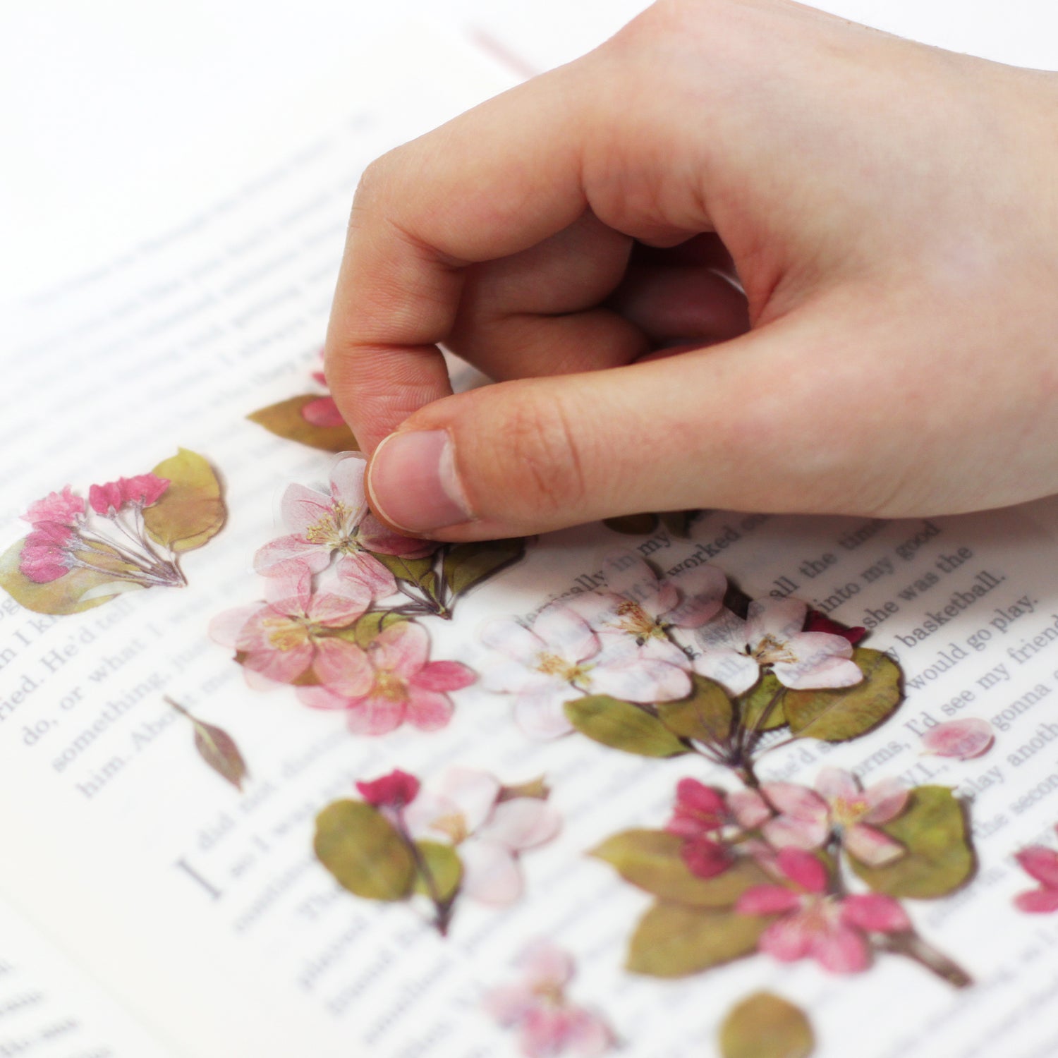 Apple Blossom Pressed Flower Stickers