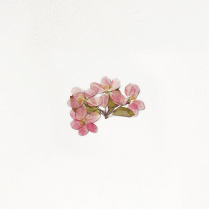 Apple Blossom Pressed Flower Stickers